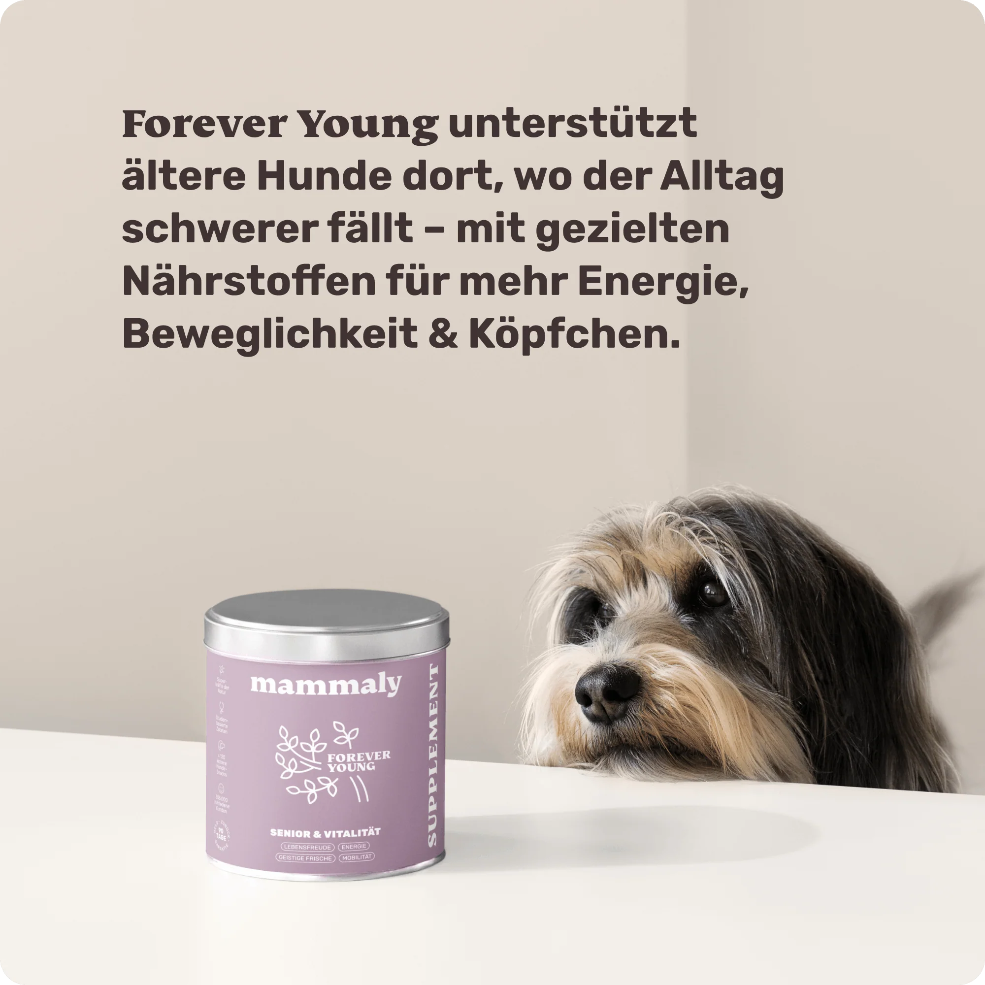 Forever Young - Image 7