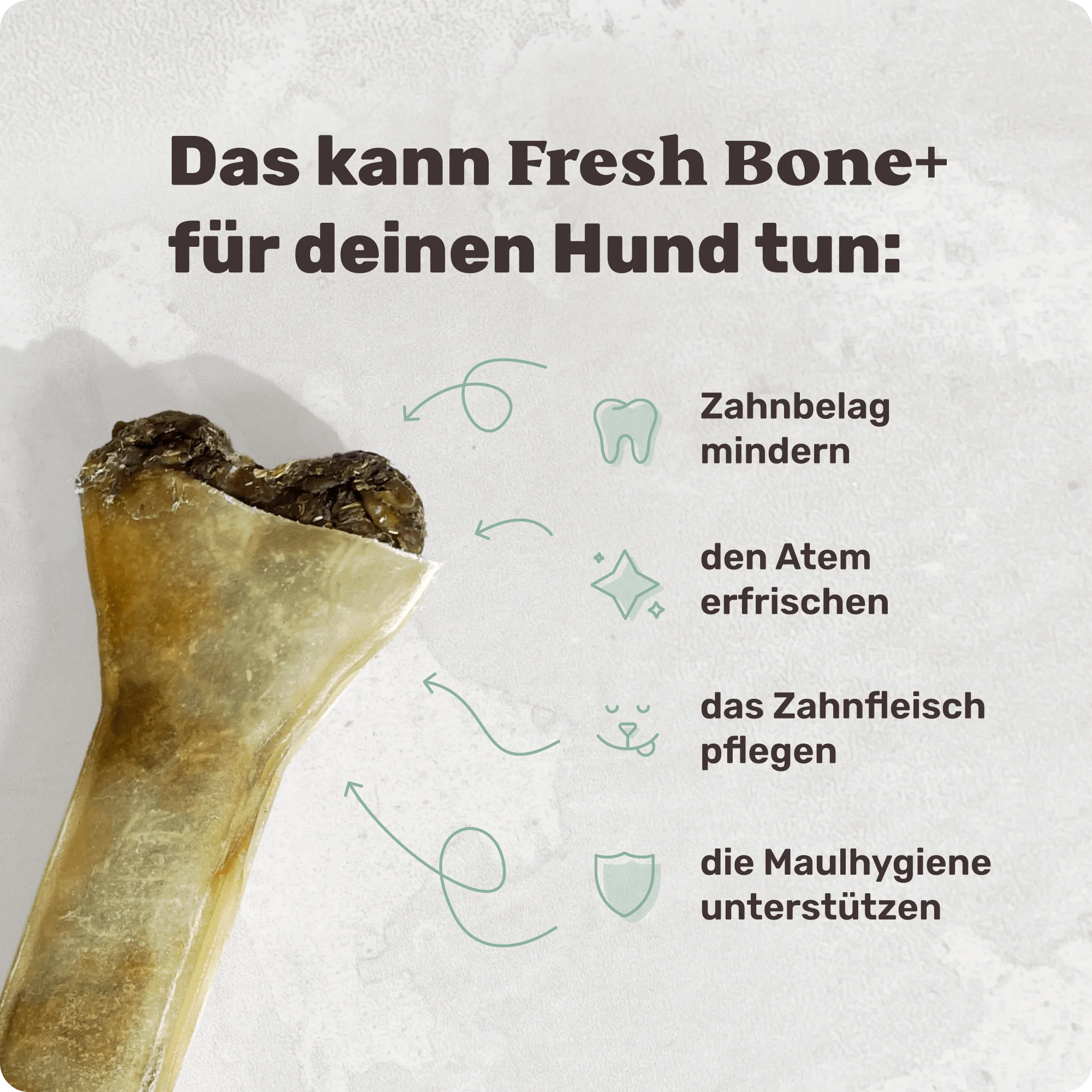Fresh Bone+ - Image 3