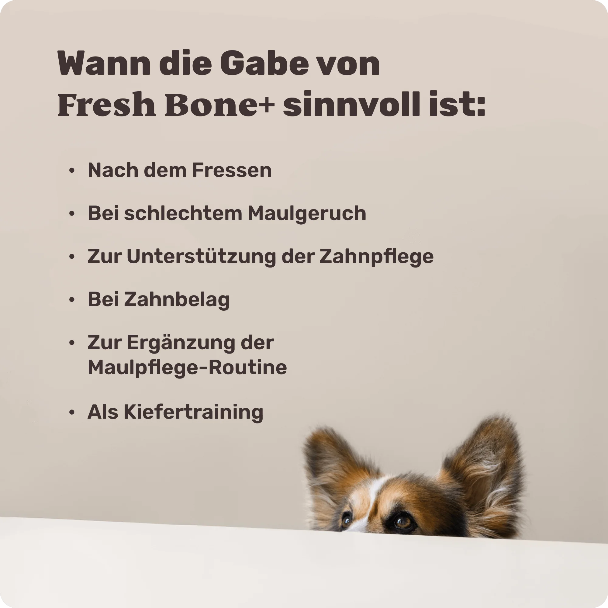 Fresh Bone+ - Image 7