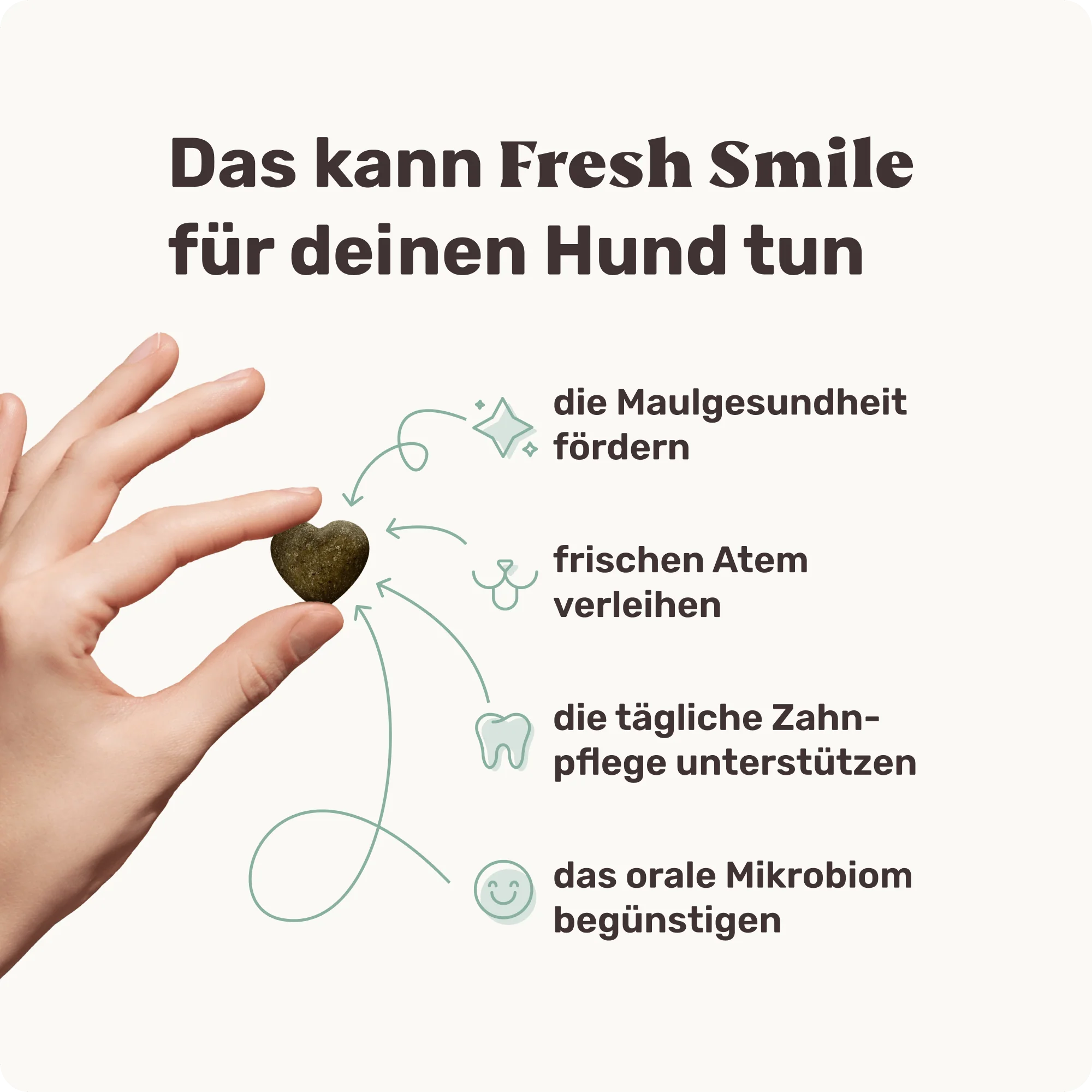 Fresh Smile - Image 4