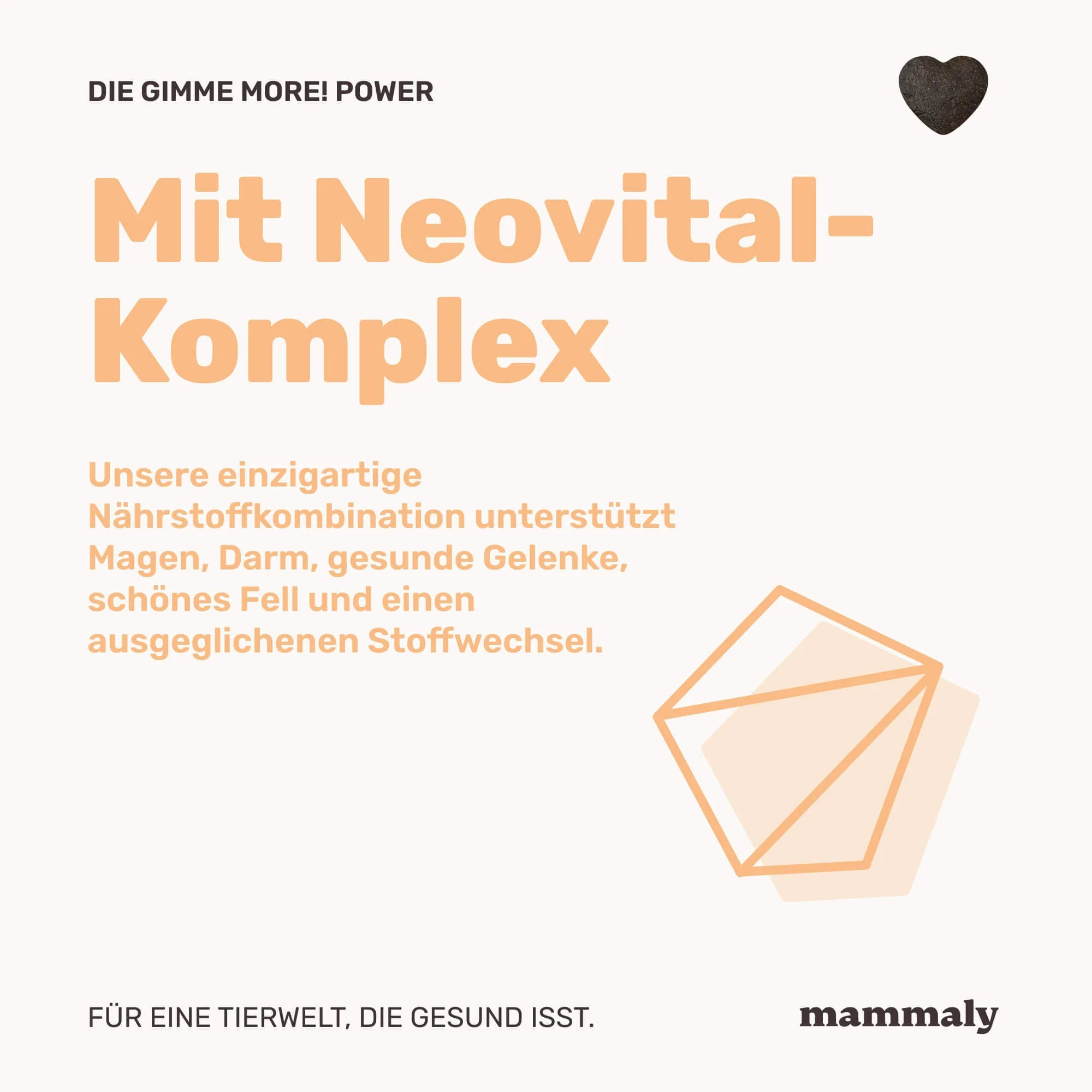 Gimme More! mit Huhn - Image 5