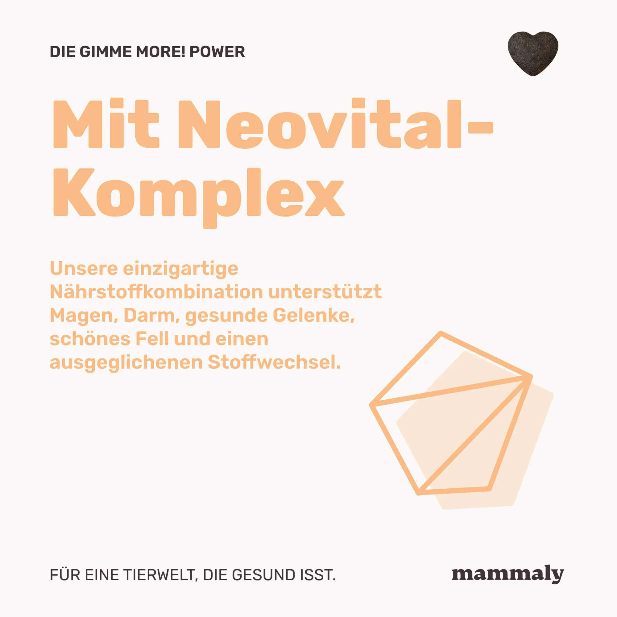 Gimme More! mit Huhn - Image 5