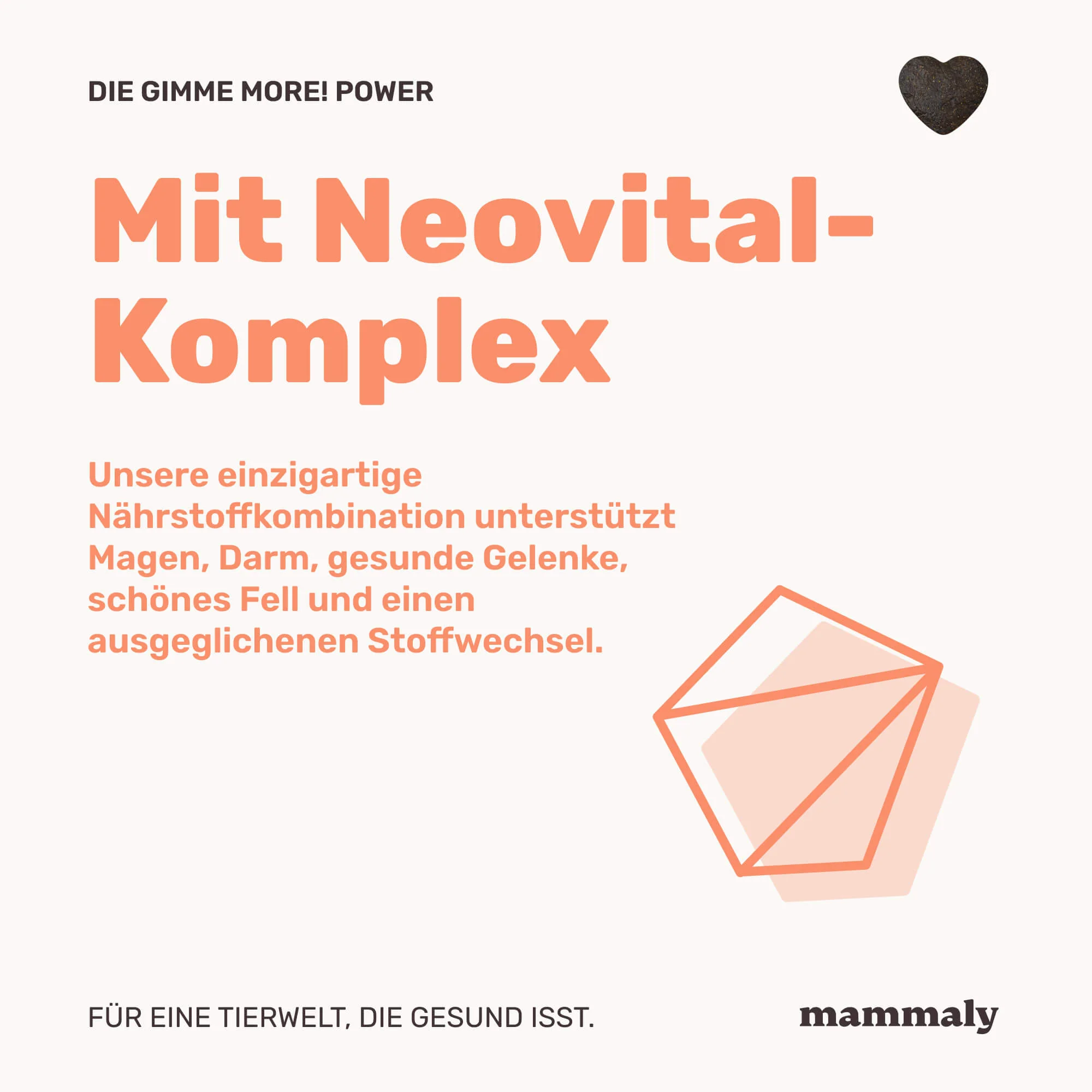 Gimme More! mit Lachs - Image 5