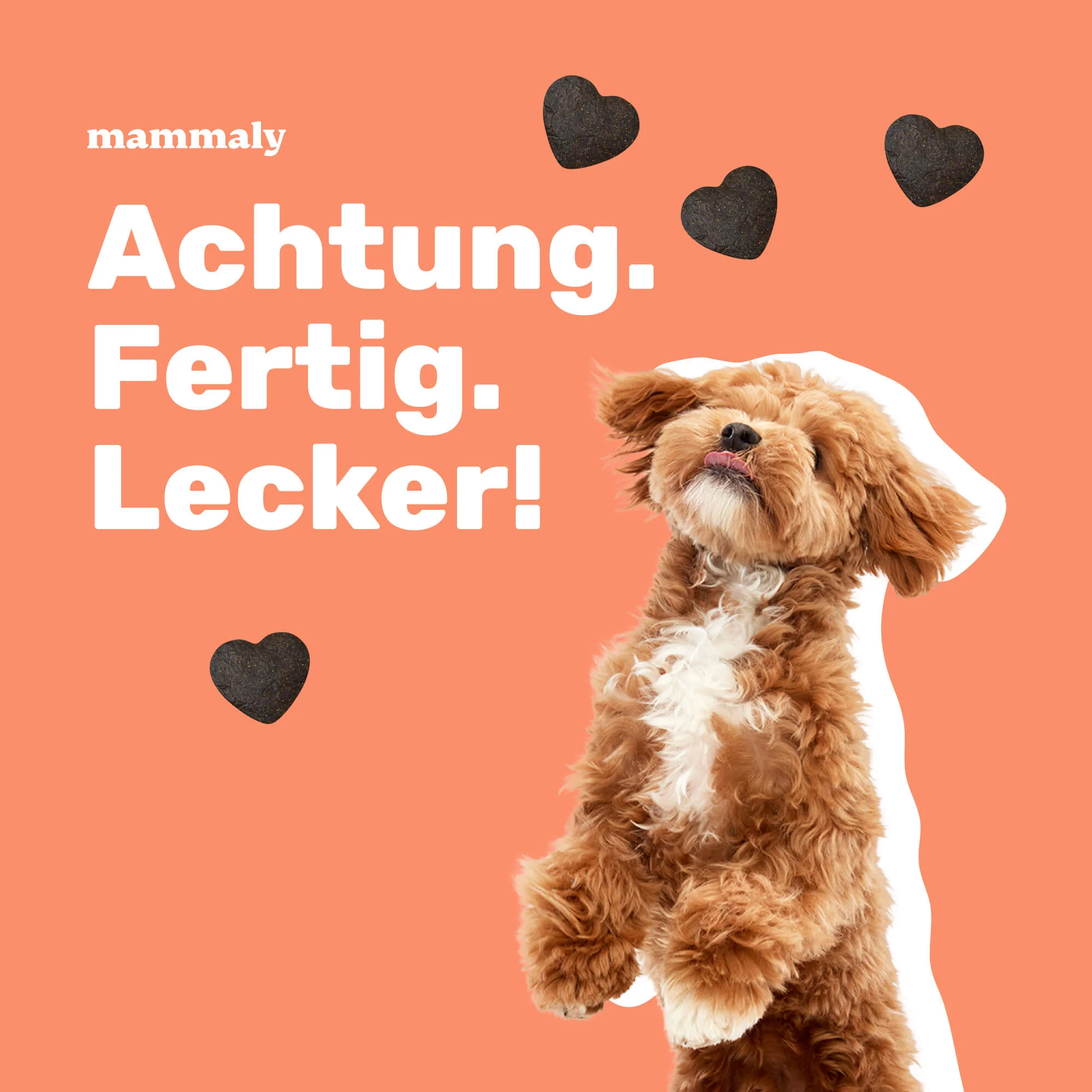 Gimme More! mit Lachs - Image 3