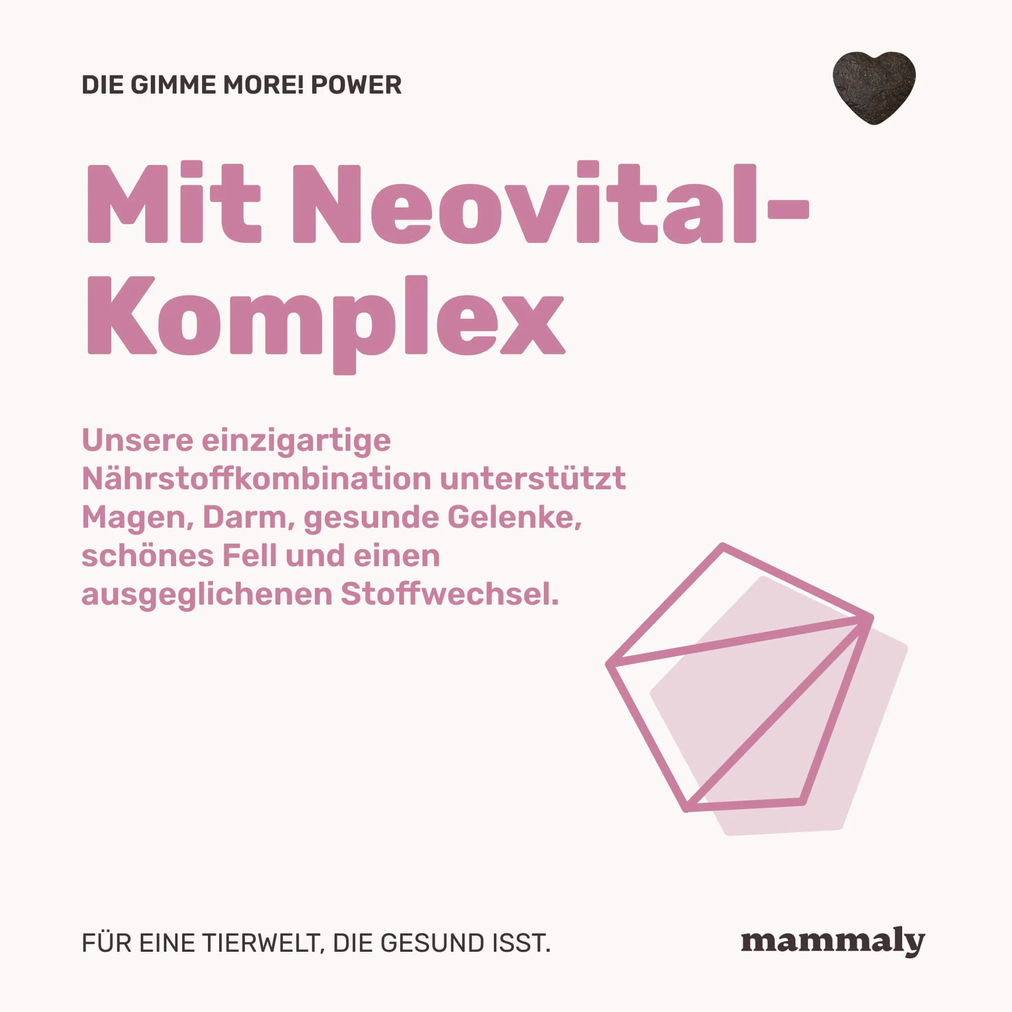 Gimme More! mit Rind (Bundle Angebot) - Image 5
