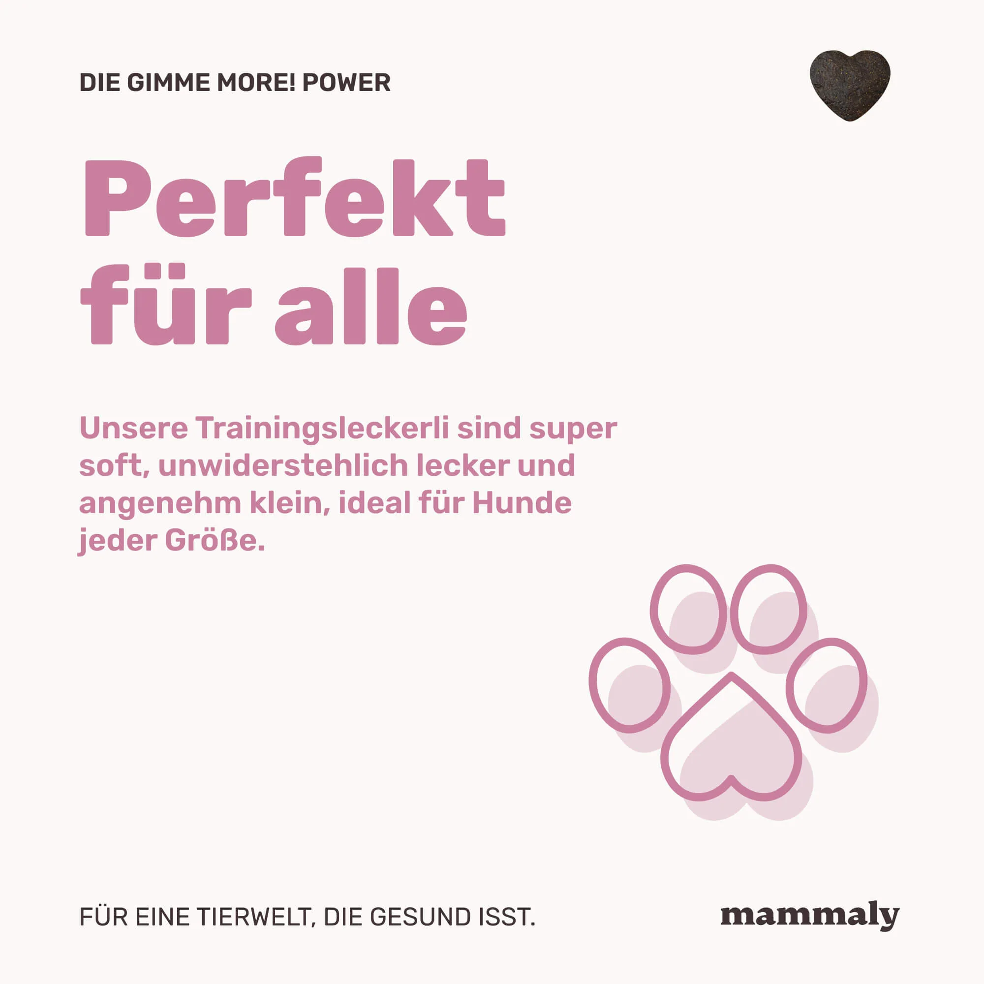 Gimme More! mit Rind (Bundle Angebot) - Image 6