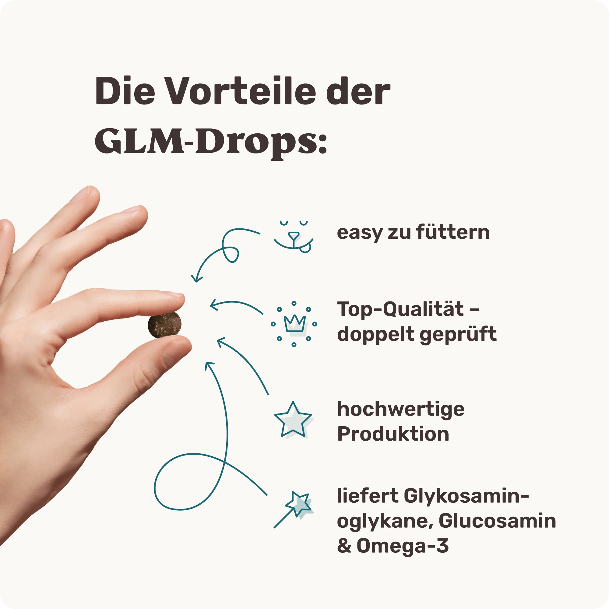 Grünlippmuschel - Image 3
