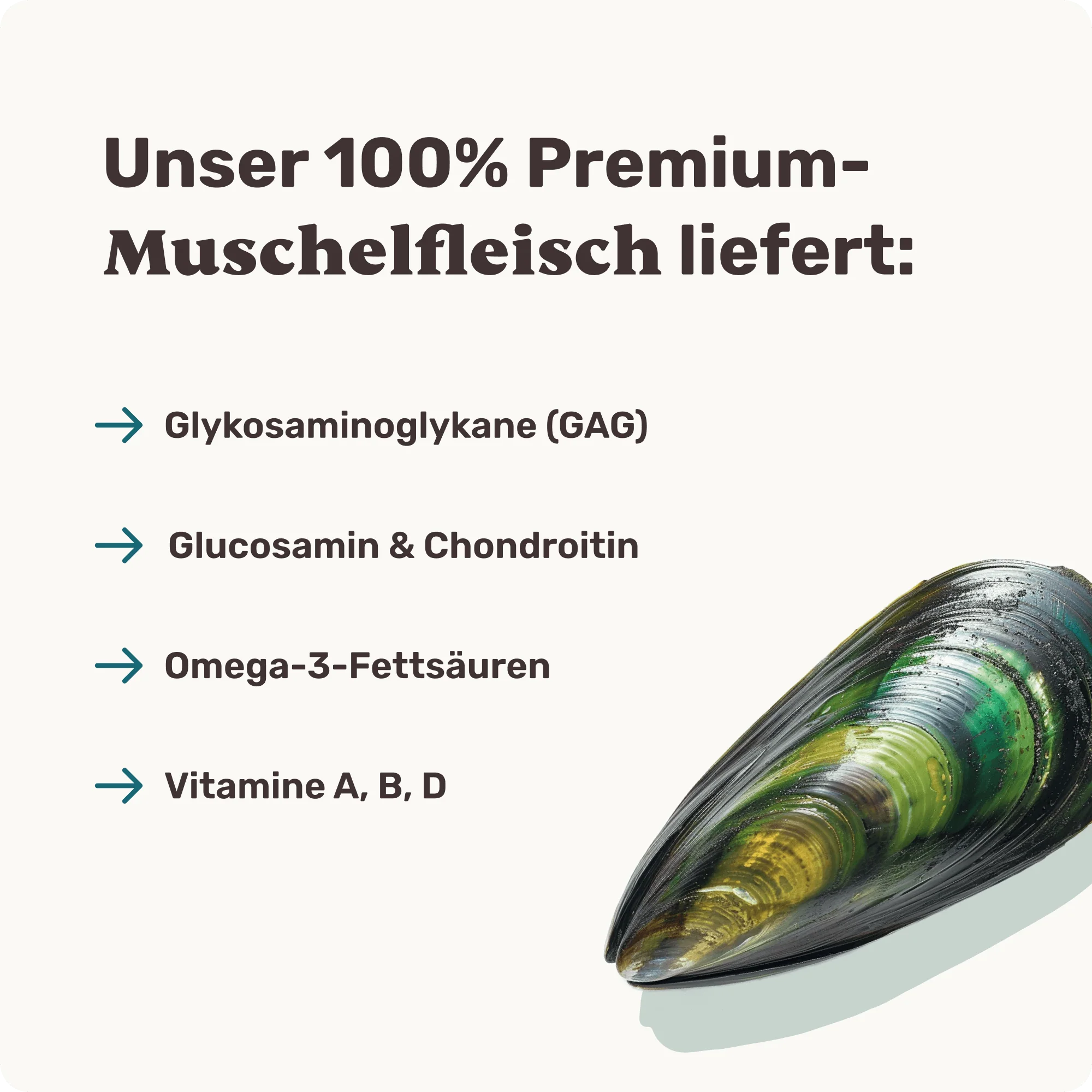 Grünlippmuschel - Image 4