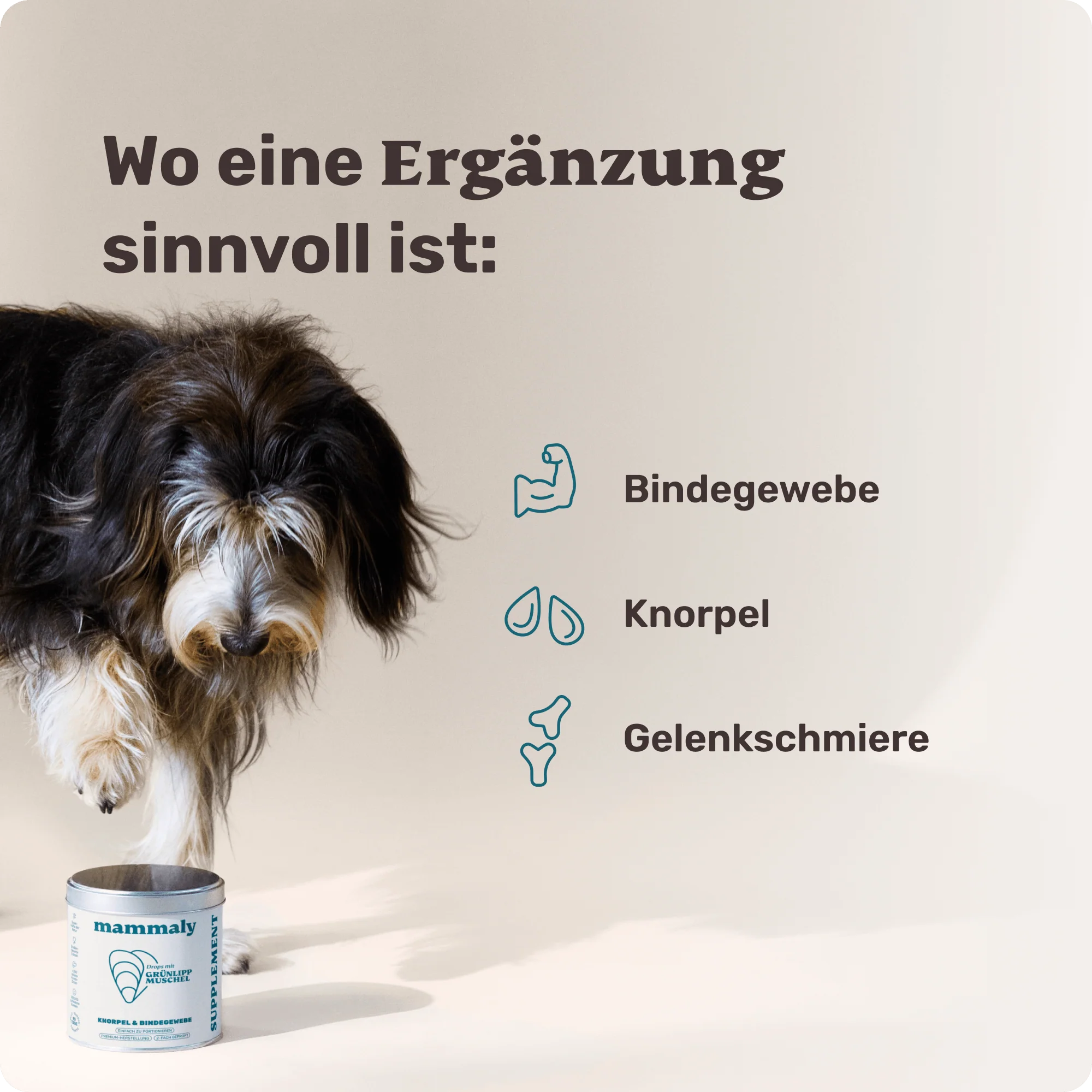 Grünlippmuschel - Image 6