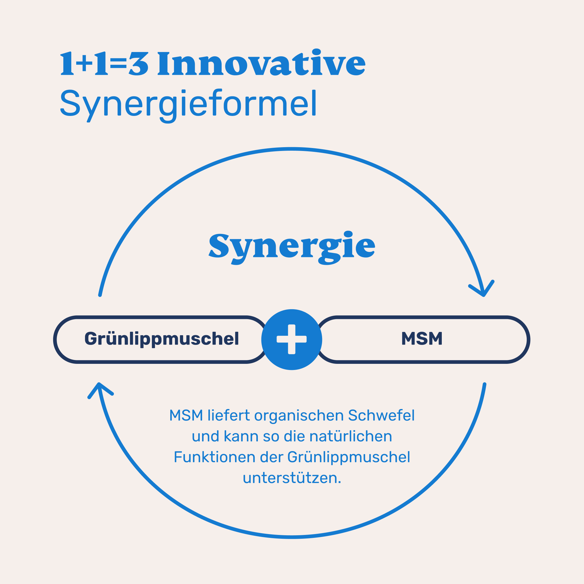 Grünlippmuschel + MSM - Image 3