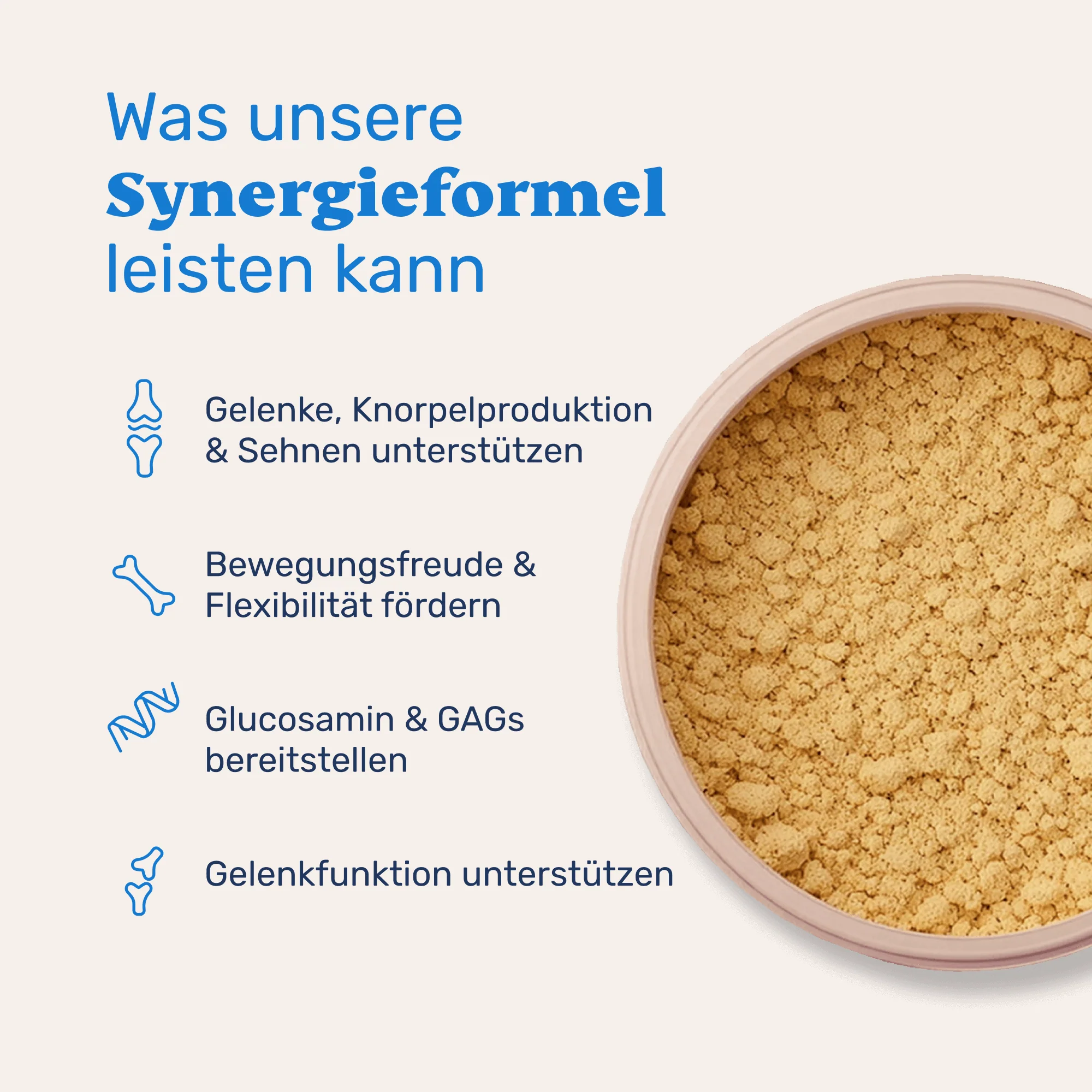 Grünlippmuschel + MSM - Image 4