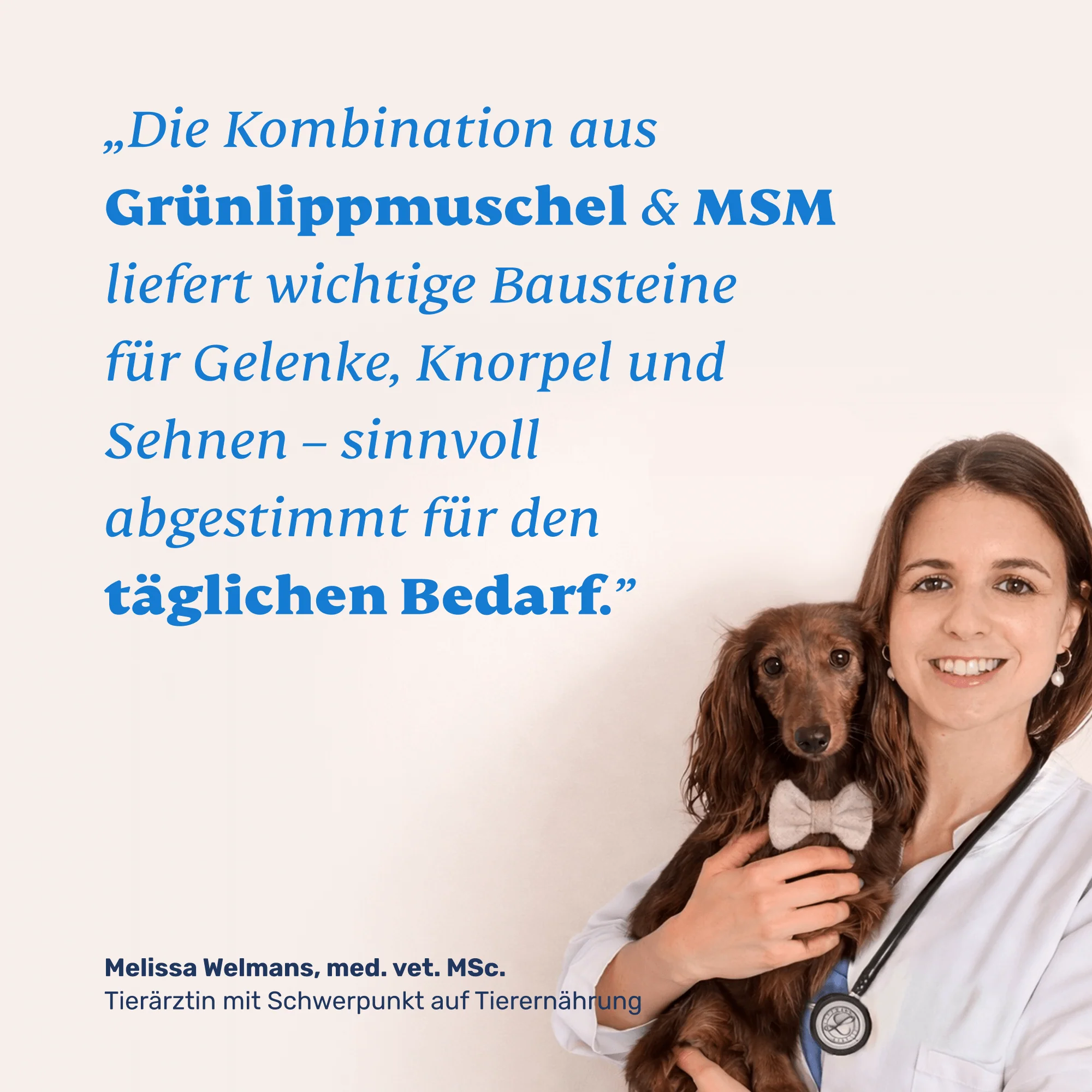 Grünlippmuschel + MSM - Image 5