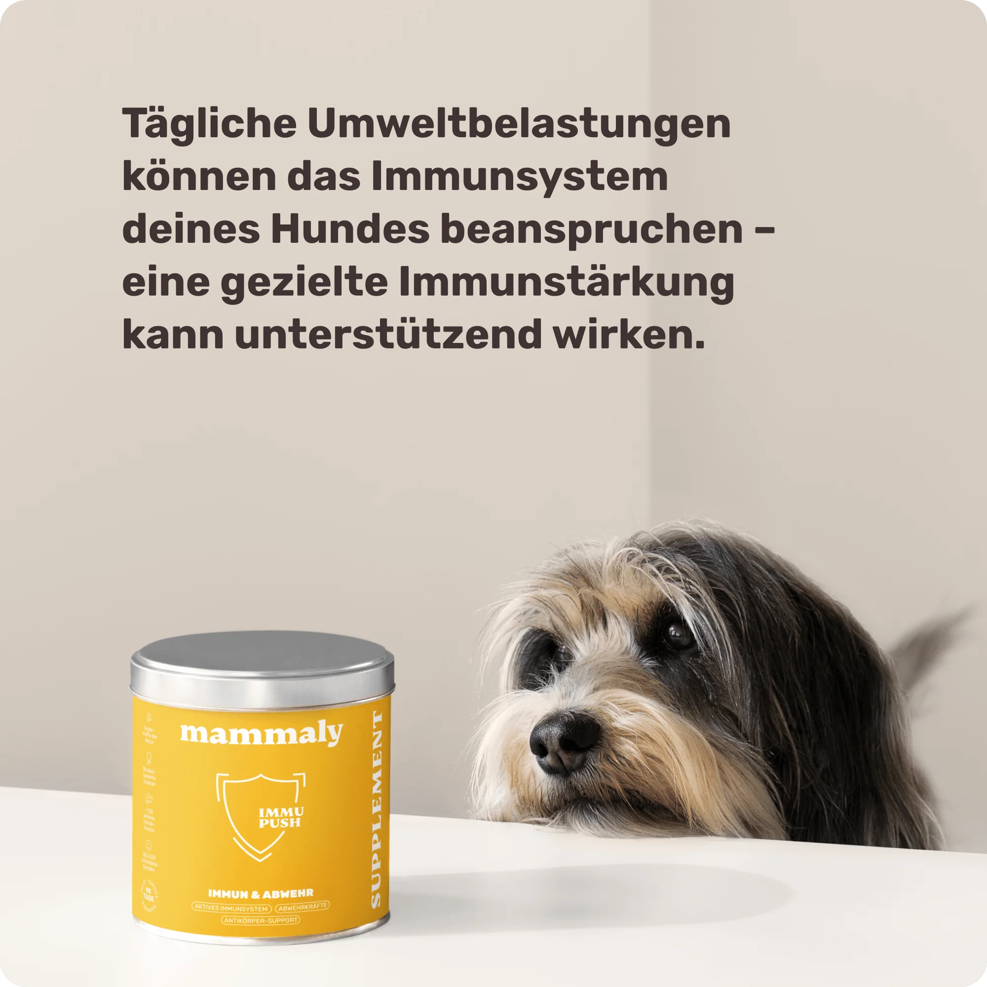 Immu Push - Image 7