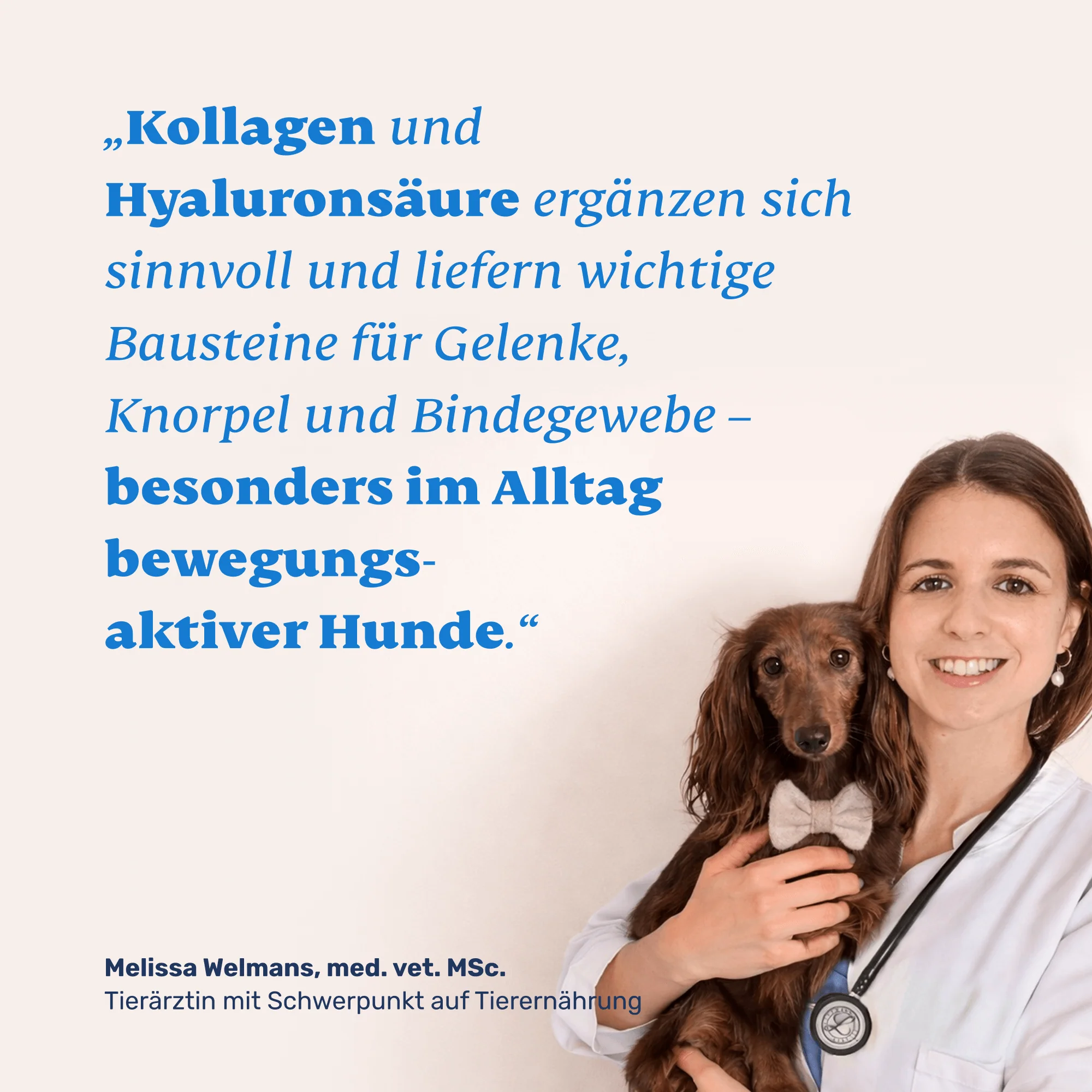 Kollagen + Hyaluronsäure - Image 5