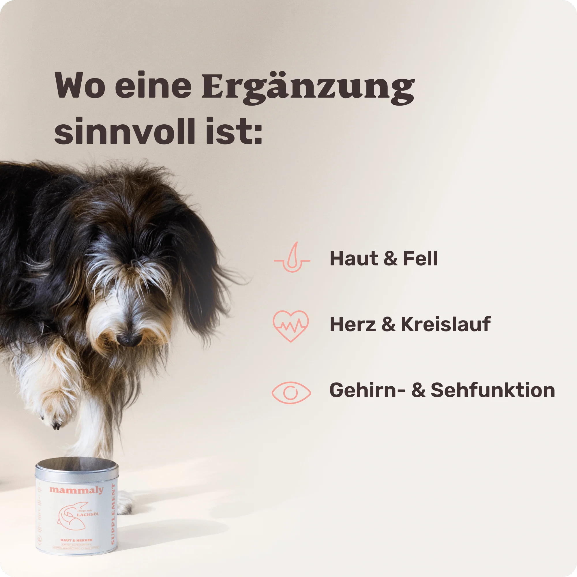 Lachsöl - Image 6