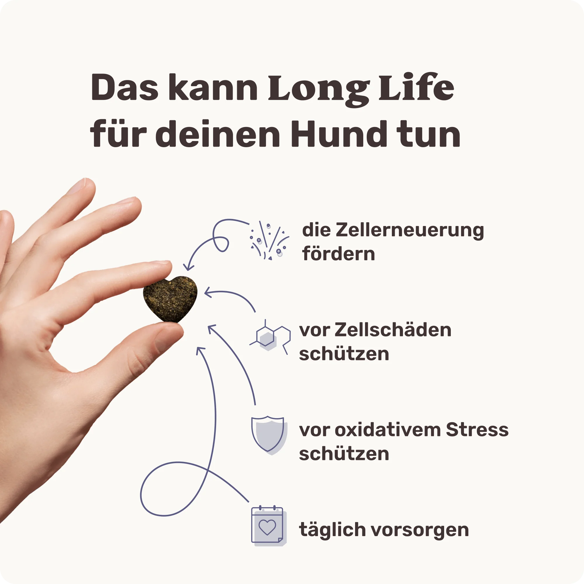 Long Life - Image 3