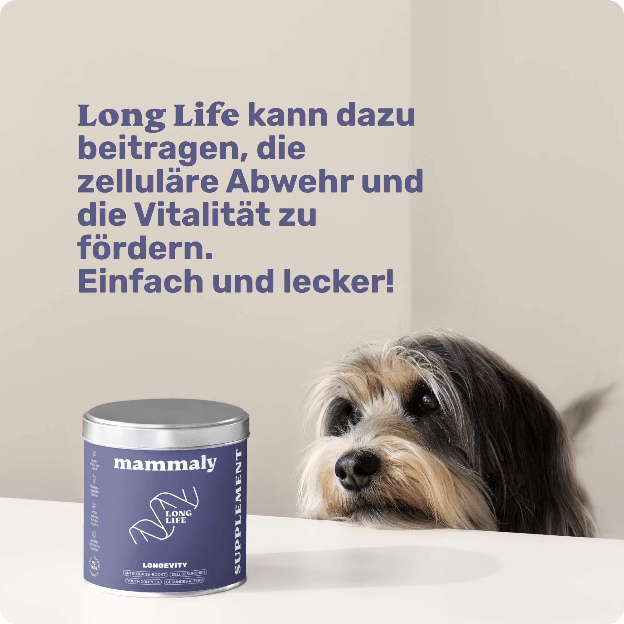 Long Life - Image 7