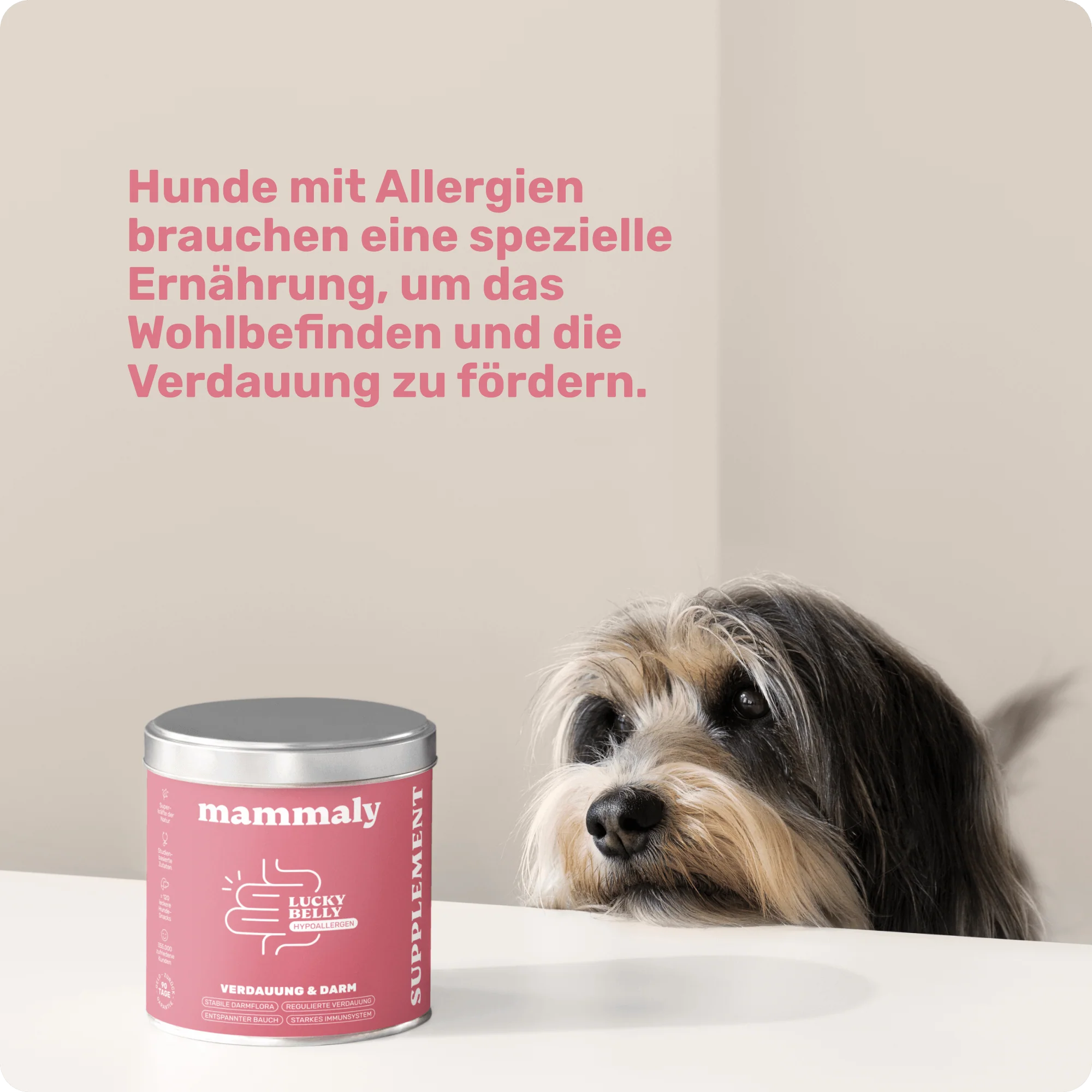 Lucky Belly Hypoallergen - Image 7