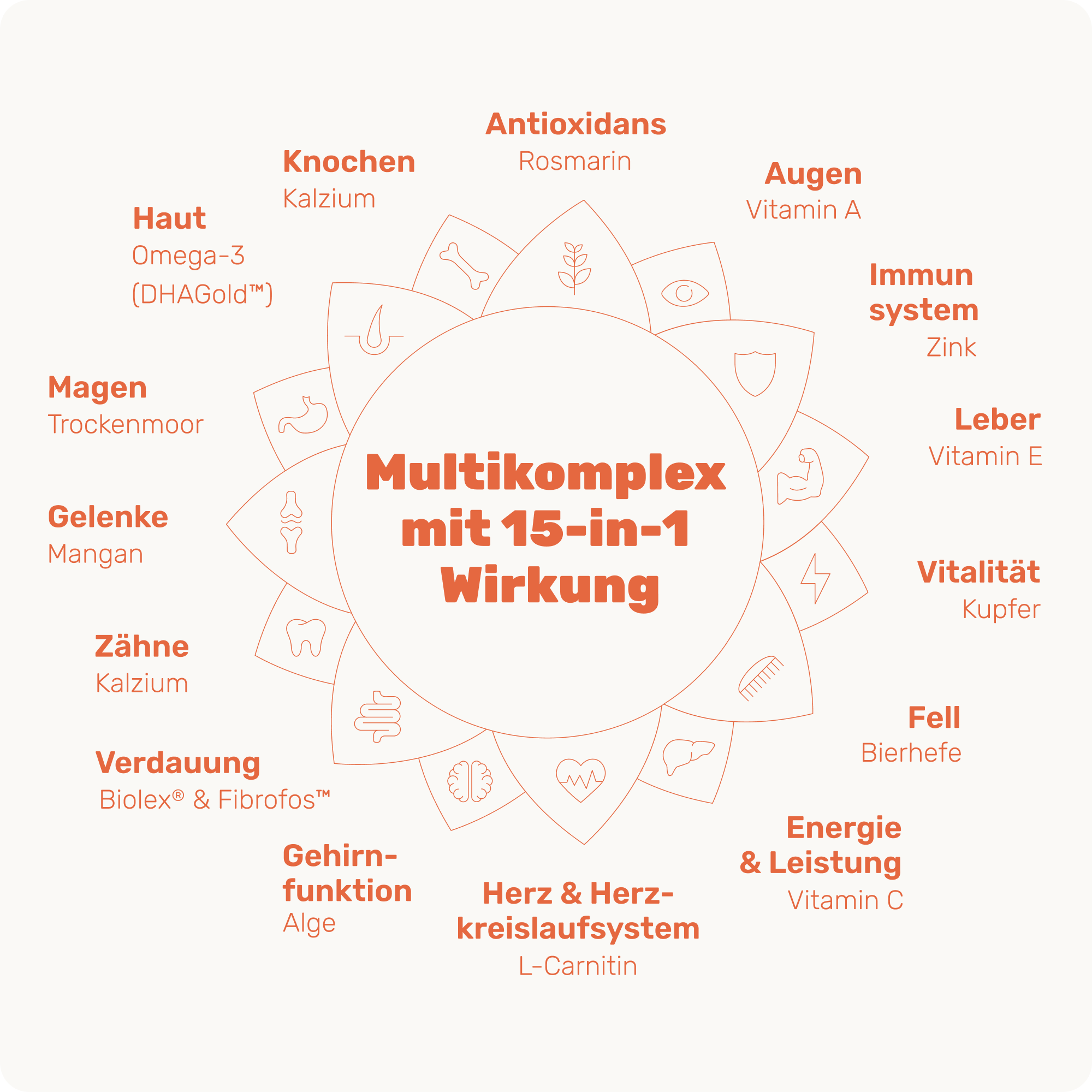Multi Vital - Image 4