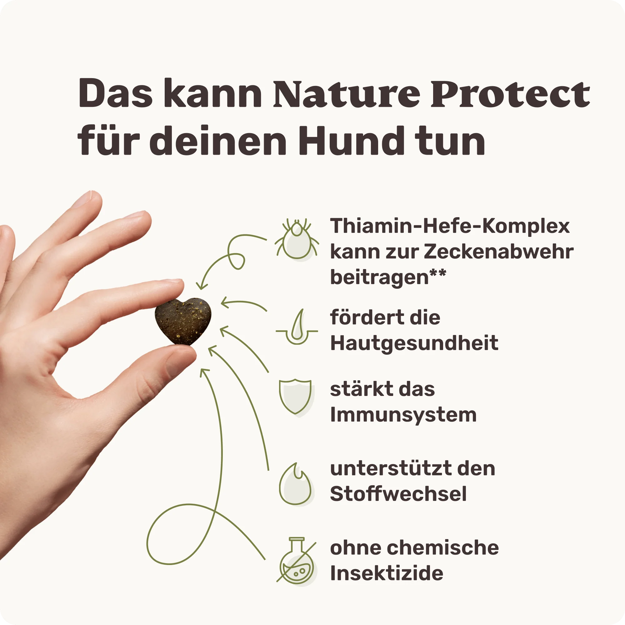 Nature Protect - Image 4