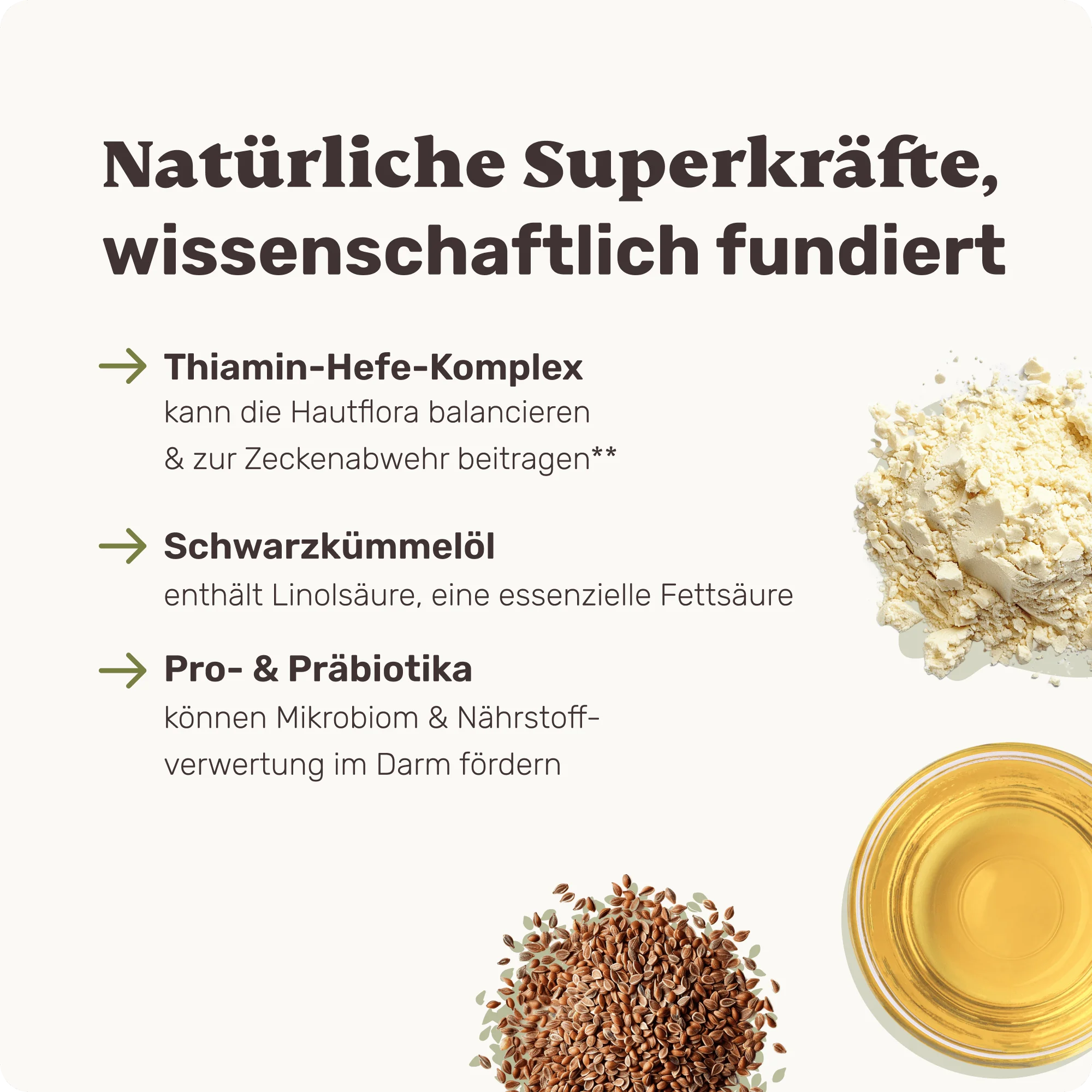 Nature Protect - Image 6