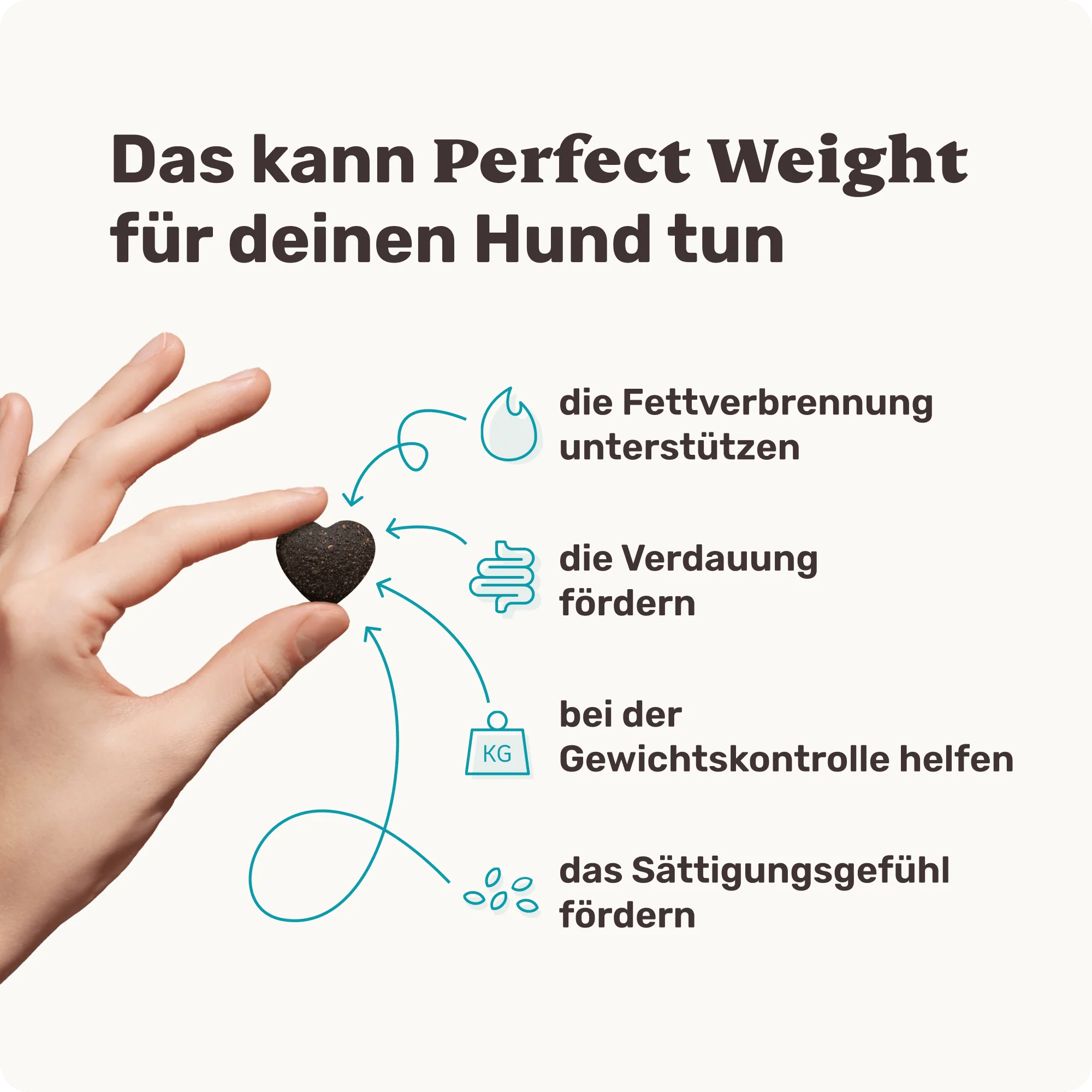 Perfect Weight - Image 3