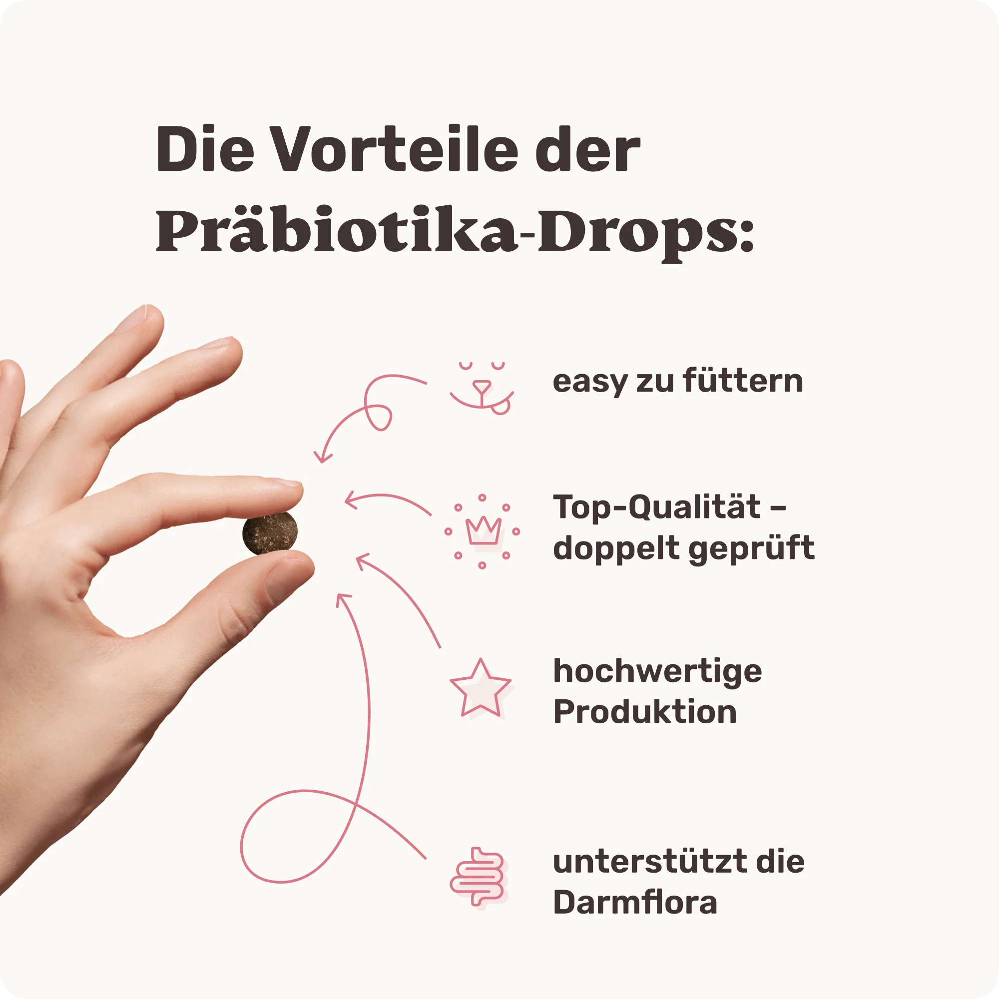 Präbiotika - Image 3