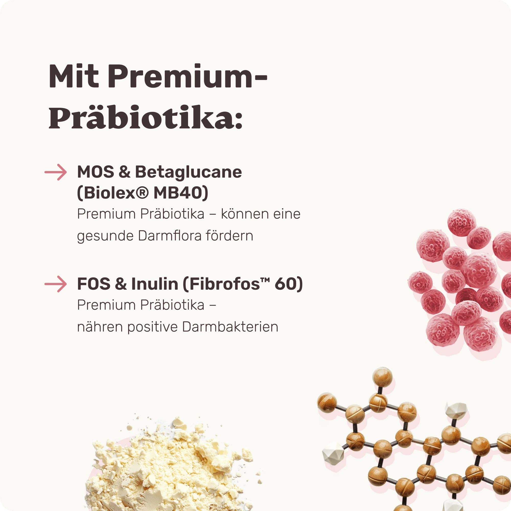 Präbiotika - Image 4