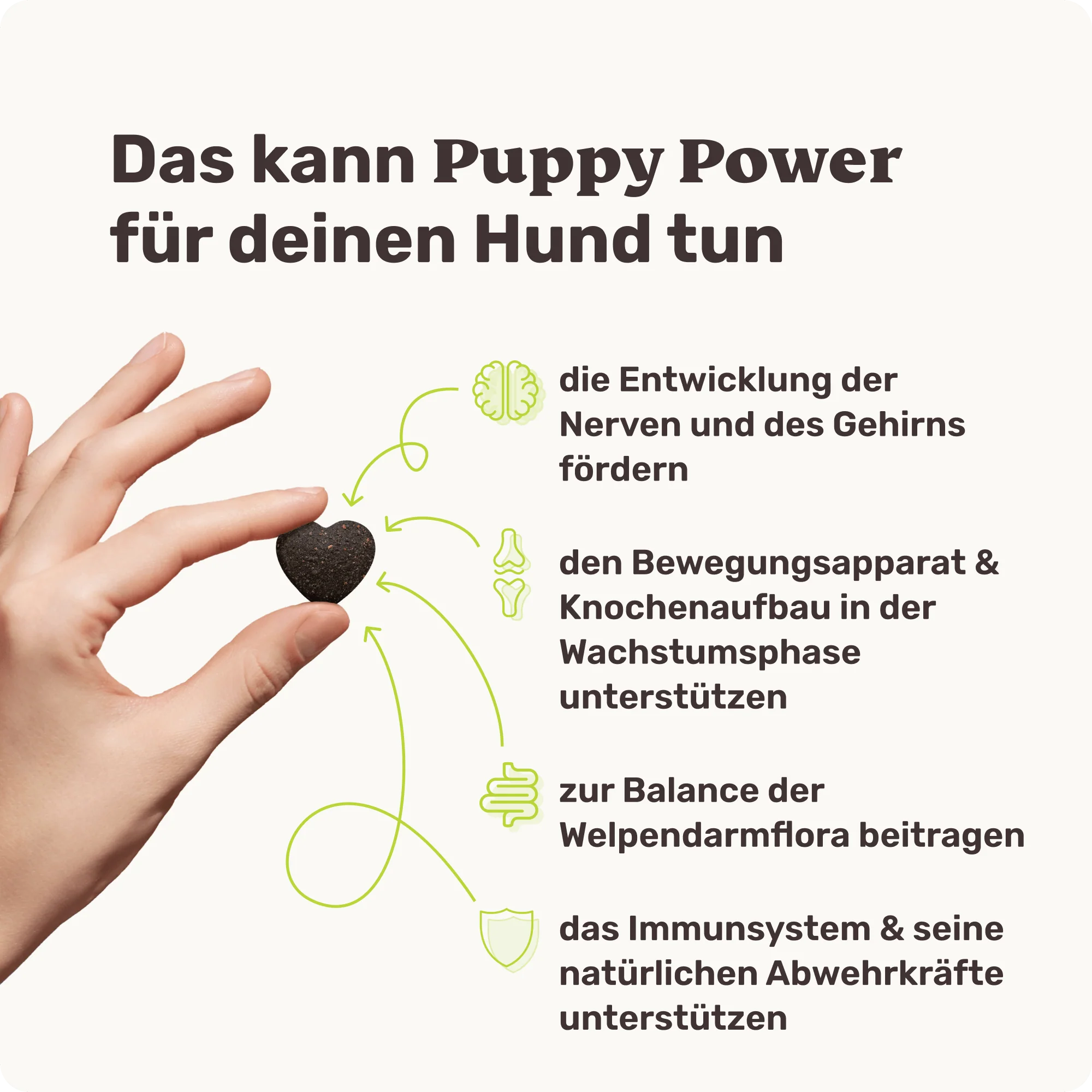 Puppy Power - Image 3