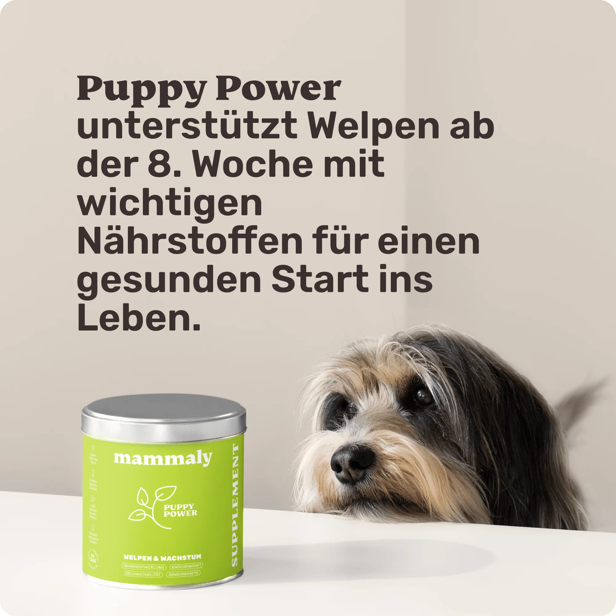 Puppy Power - Image 7