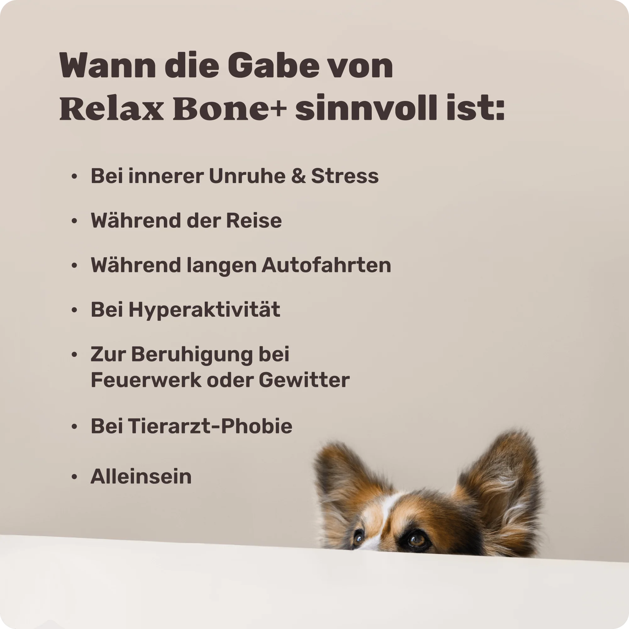 Relax Bone+ - Image 7