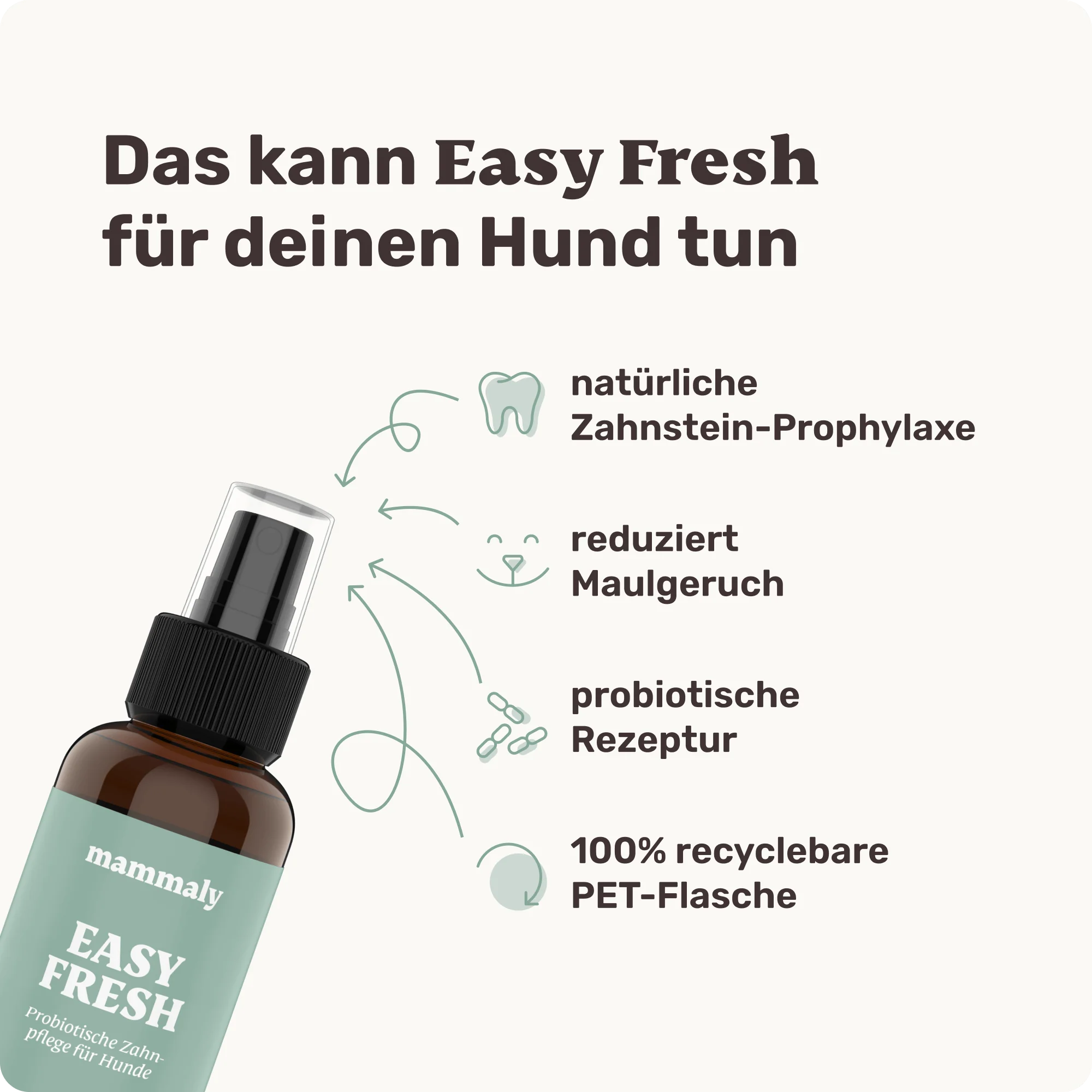 Easy Fresh - Image 3