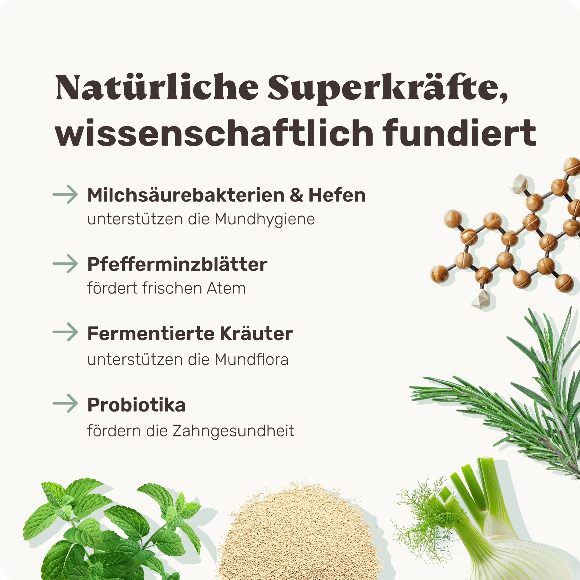 Easy Fresh - Image 4
