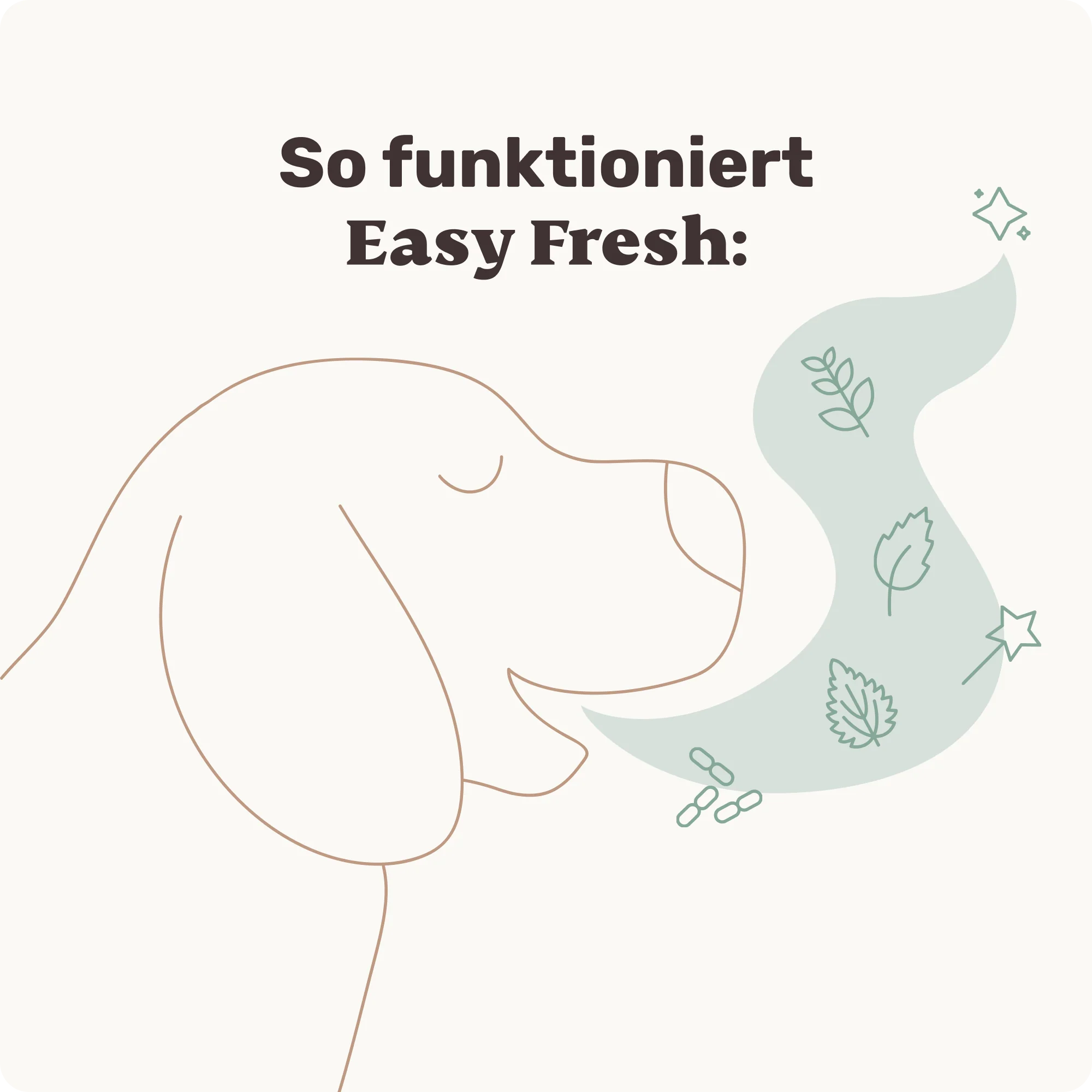 Easy Fresh - Image 6