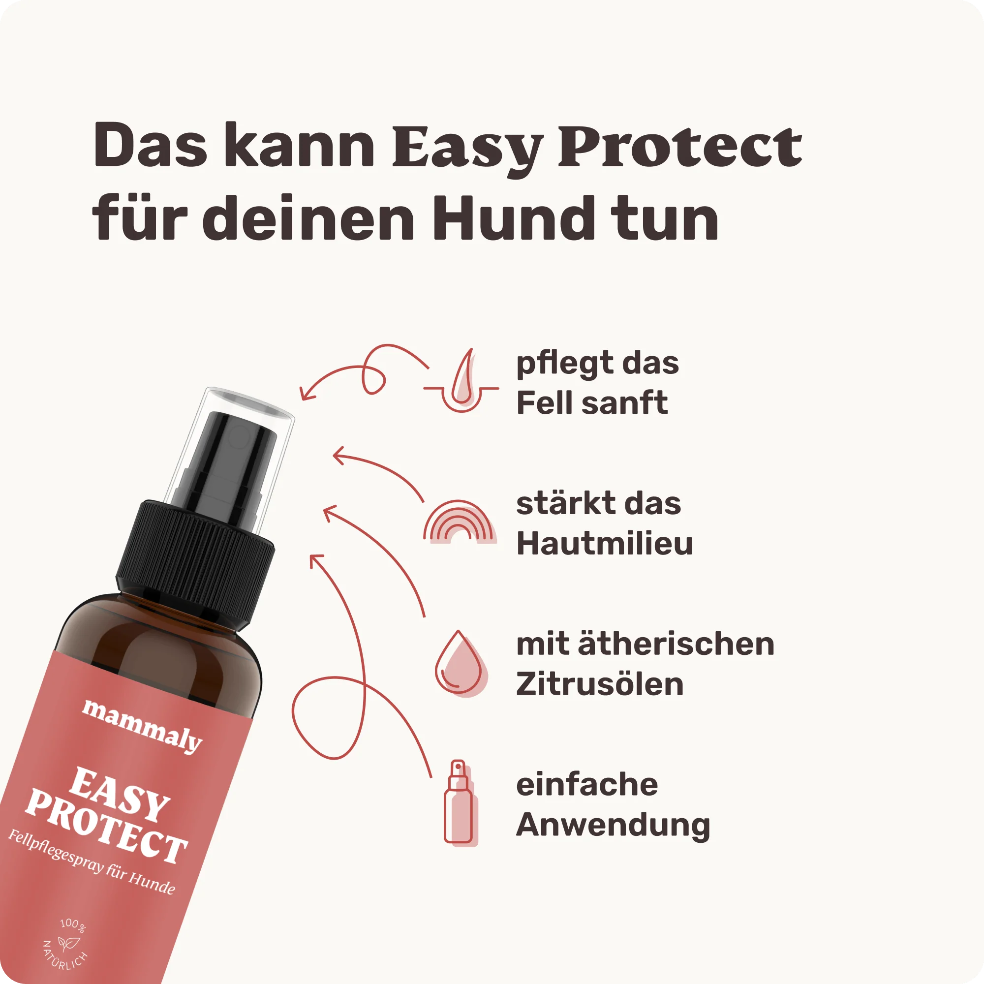 Easy Protect - Image 3