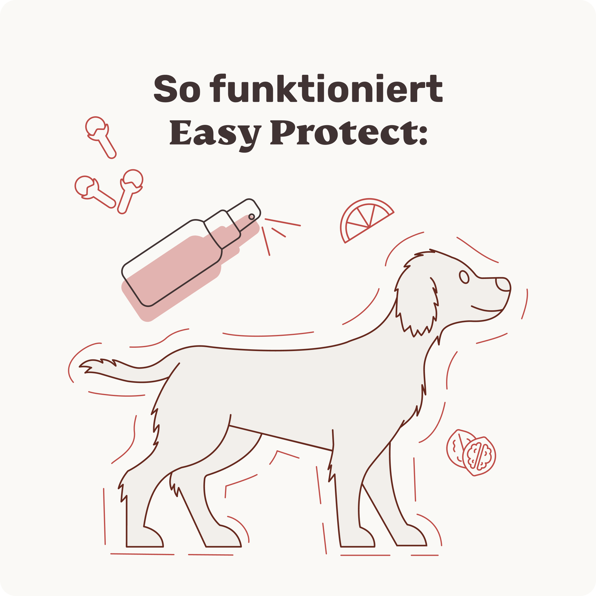 Easy Protect - Image 6