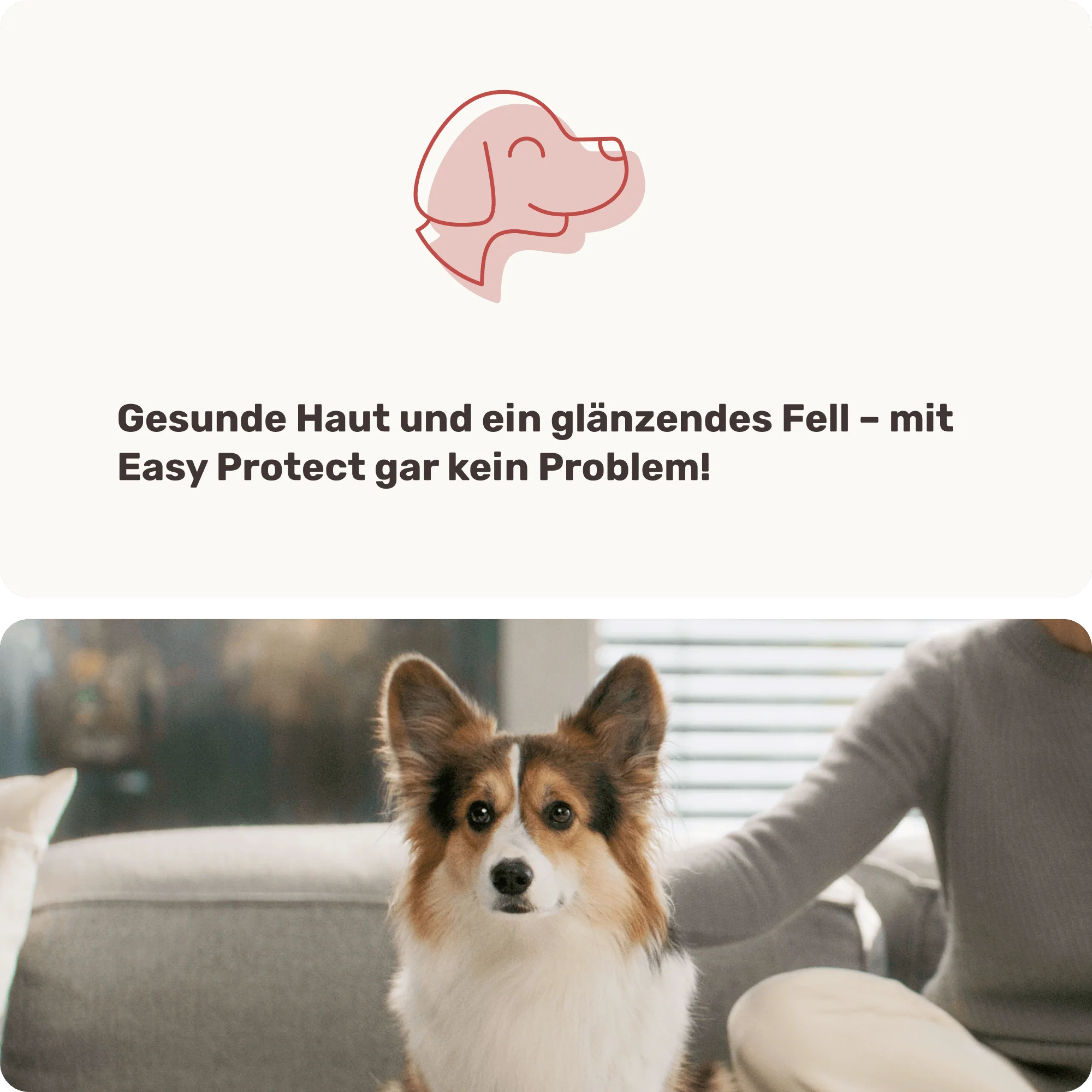 Easy Protect - Image 8
