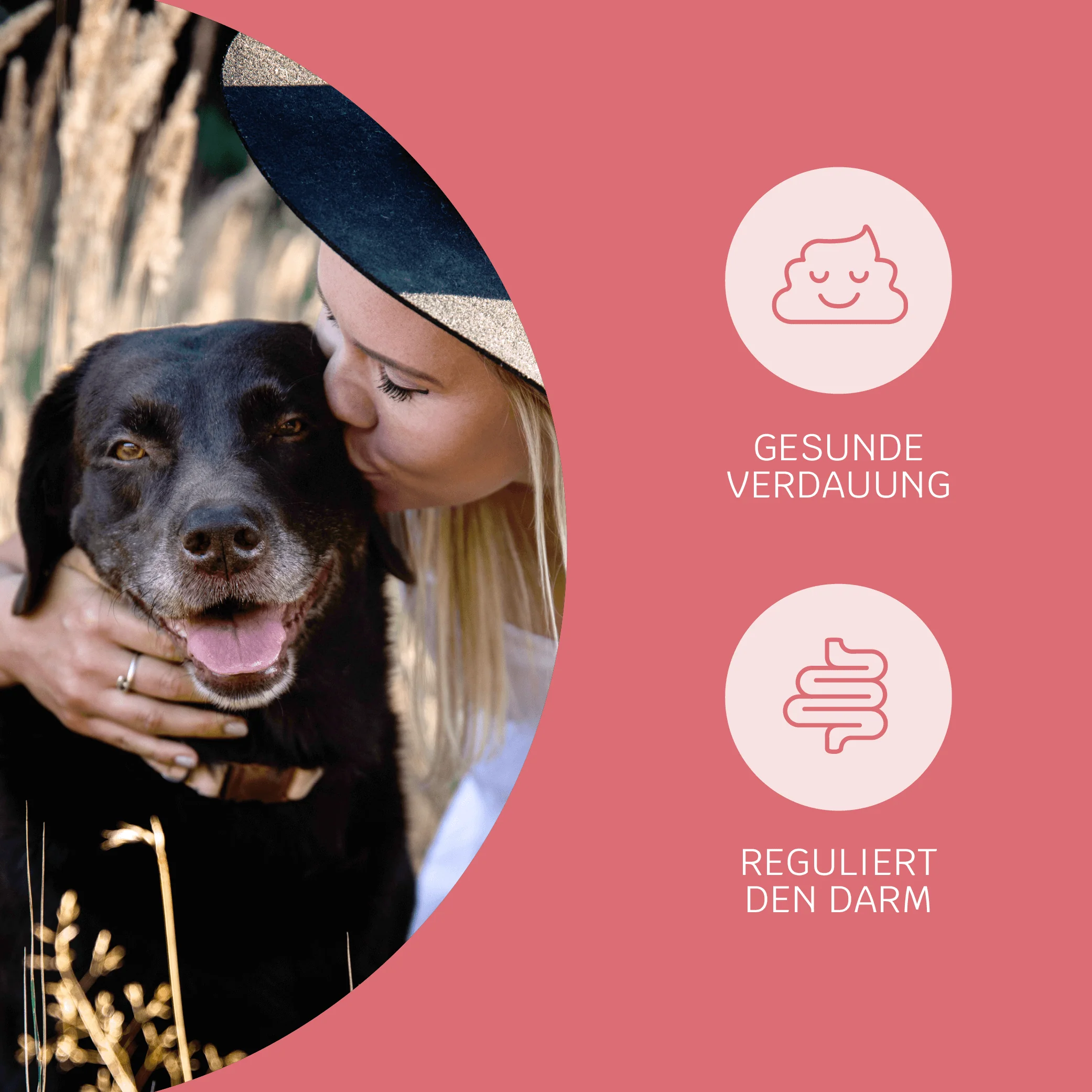 Lucky Belly Akut (Bundle Angebot) - Image 4