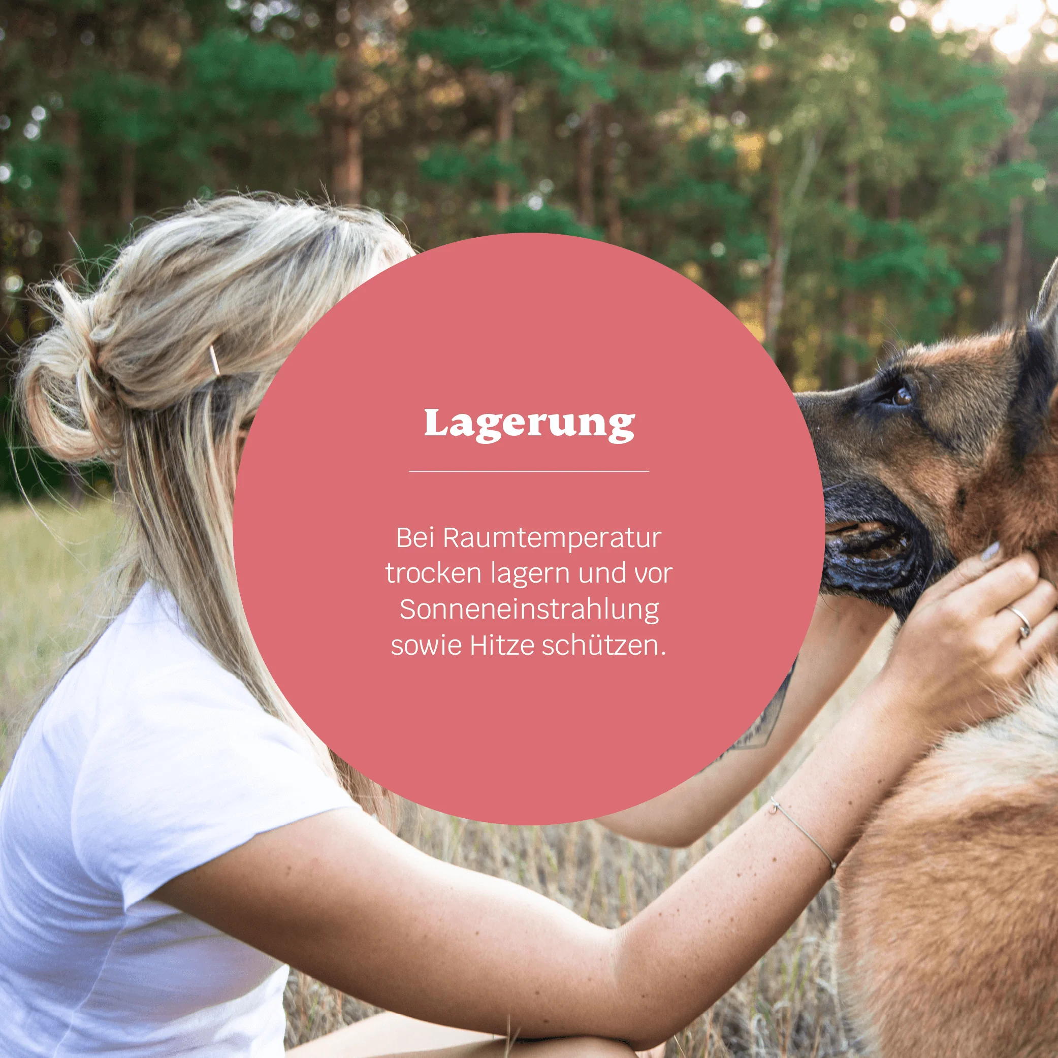 Lucky Belly Akut (Bundle Angebot) - Image 7