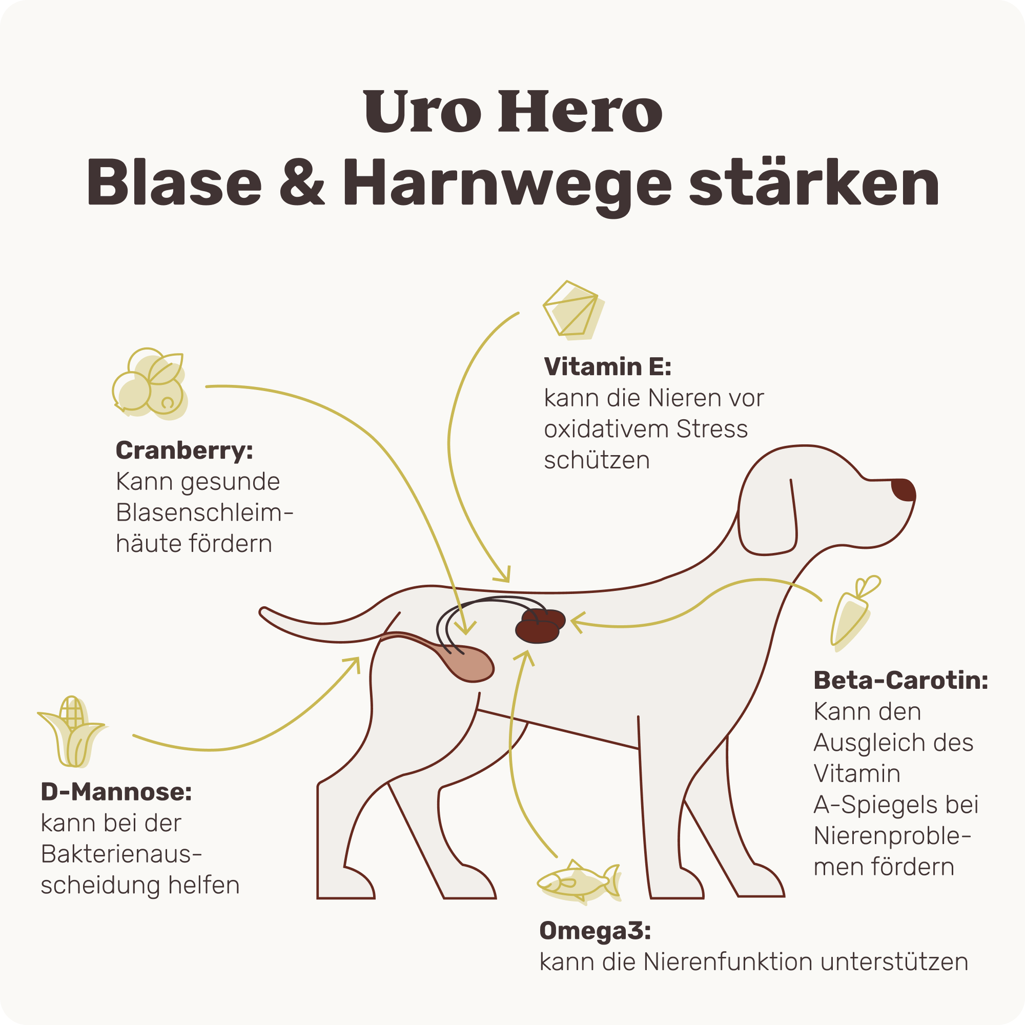 Uro Hero - Image 6