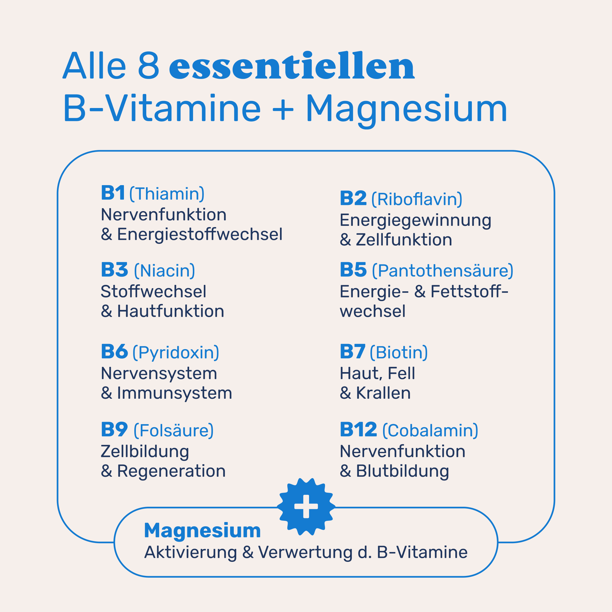Vitamin B Complete + Magnesium - Image 4